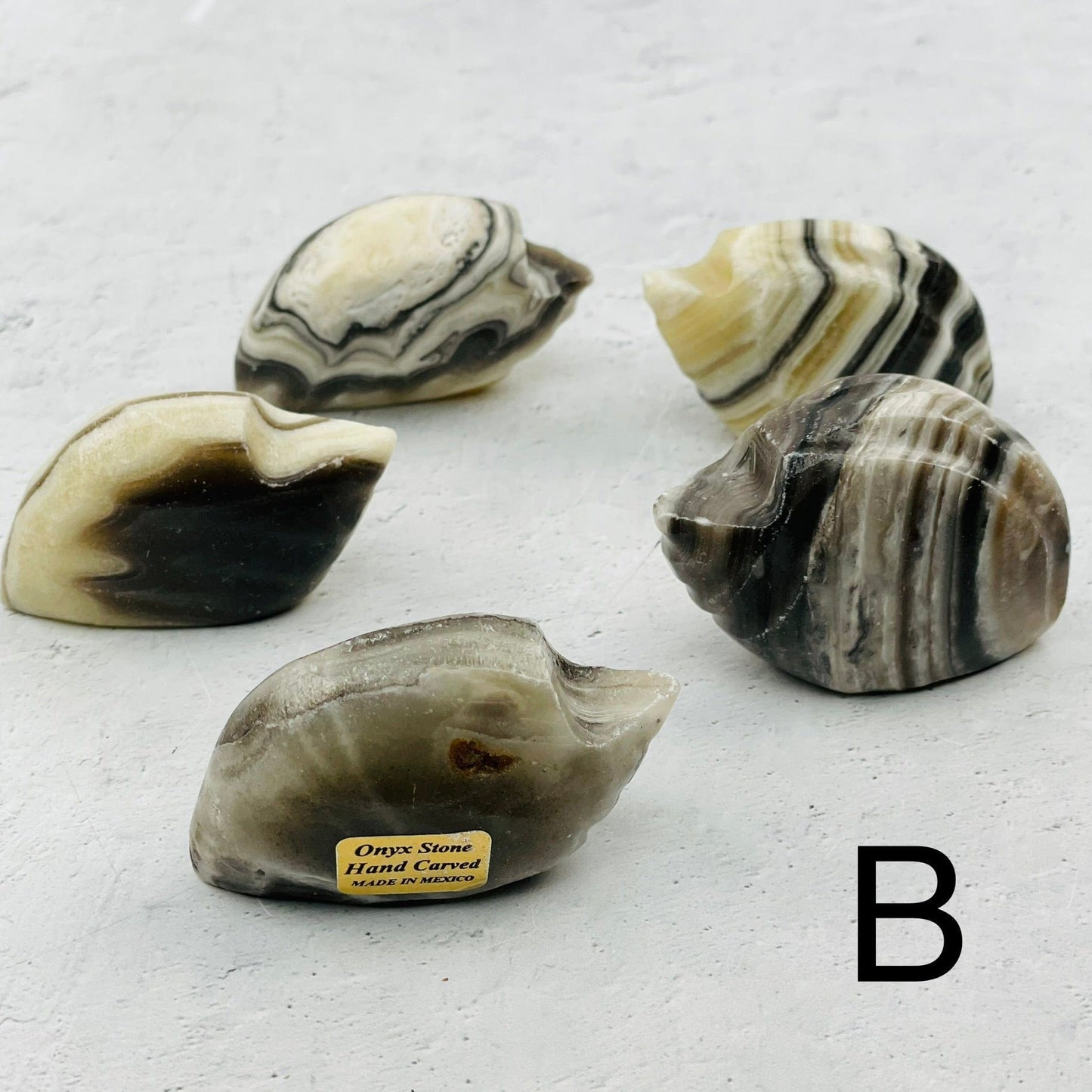 multiple onyx shaped shells displayed to show the differences in the color shades