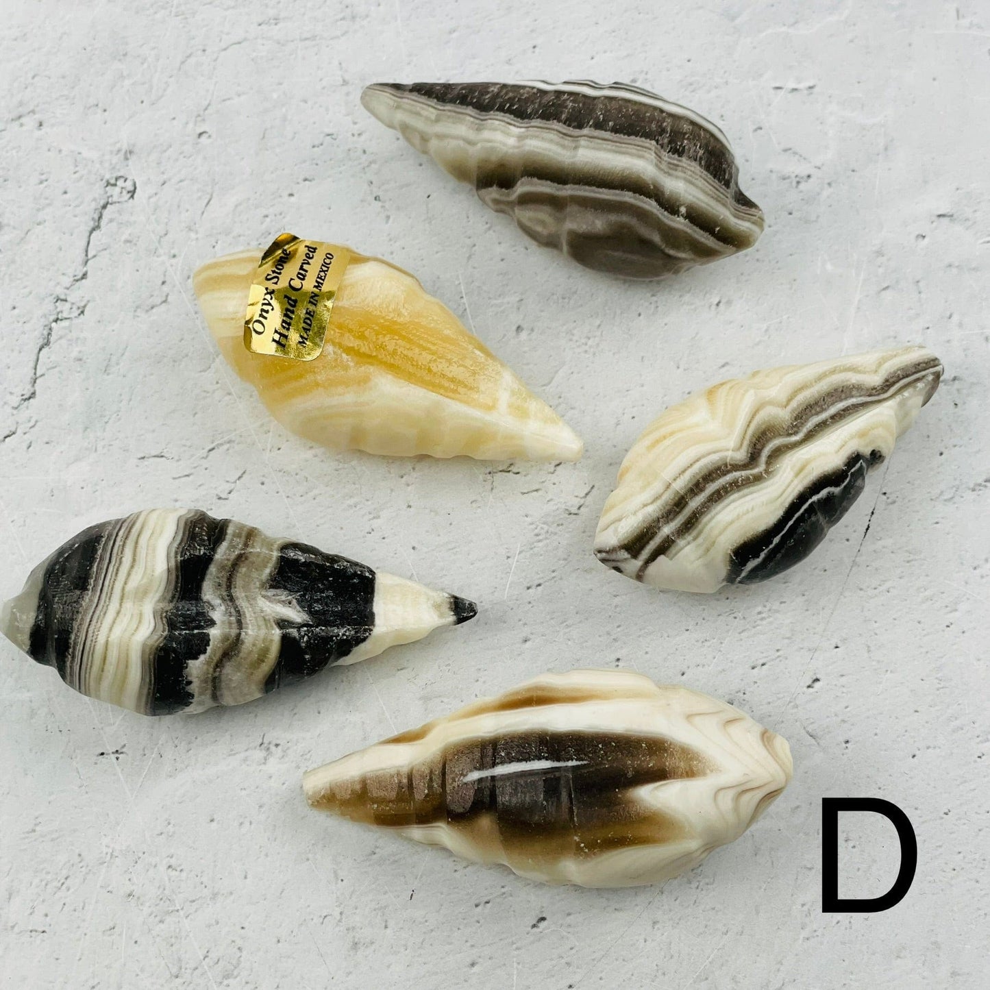 multiple onyx shaped shells displayed to show the differences in the color shades