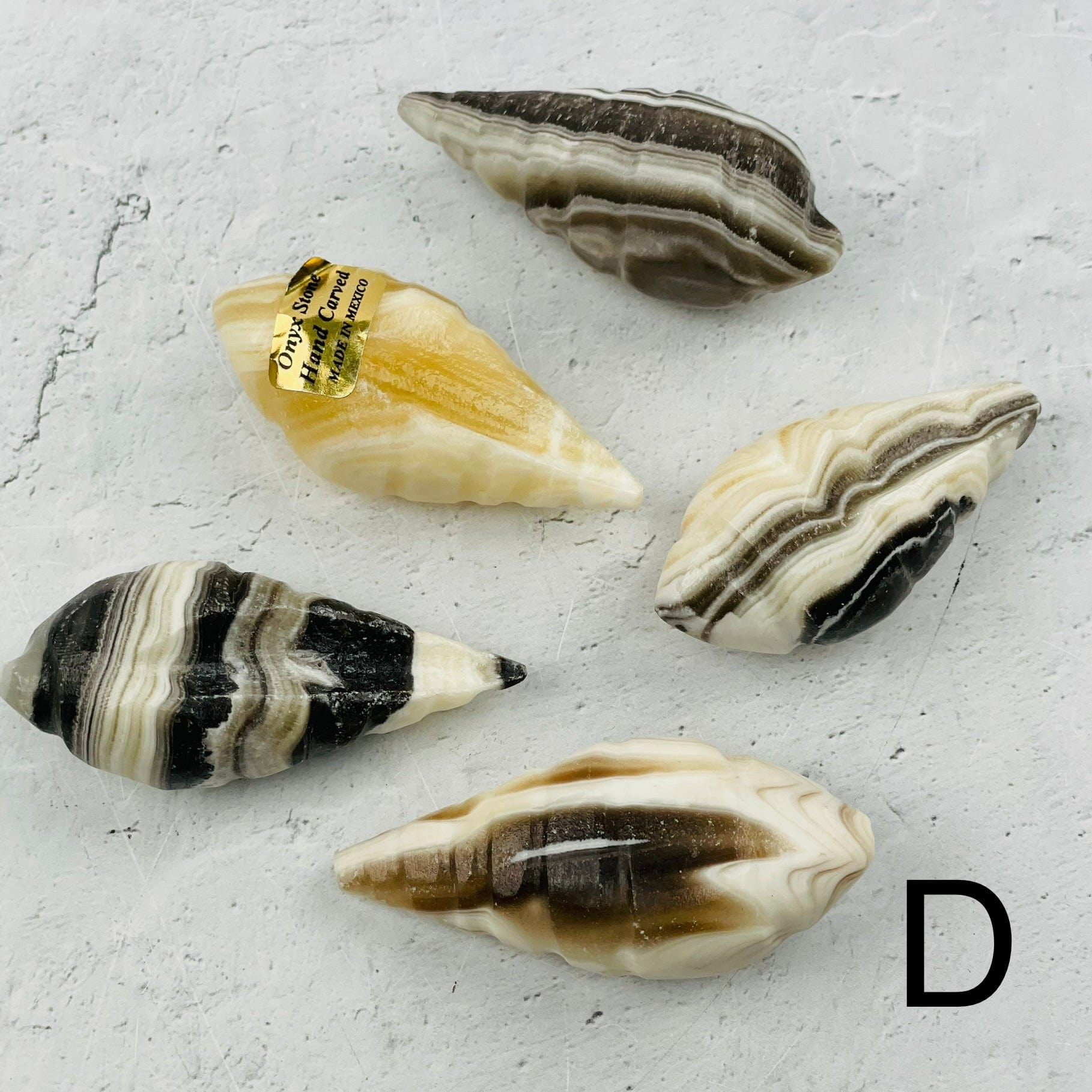 multiple onyx shaped shells displayed to show the differences in the color shades