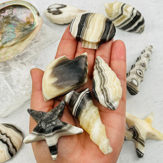 Mexican Onyx Shells - YOU CHOOSE