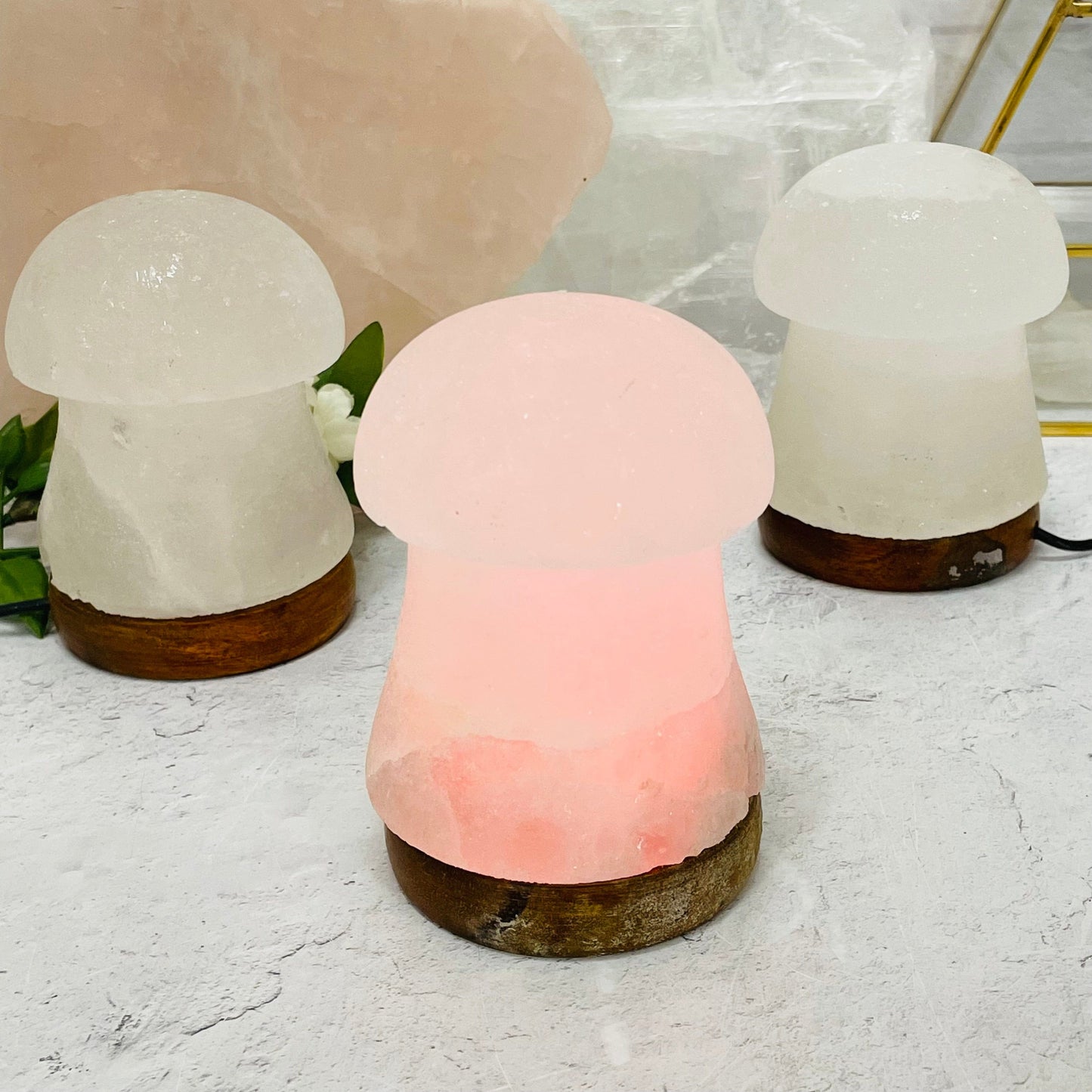 multiple lamps displayed to show the slight differences in the color shade and base 