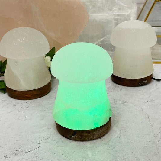 Himalayan Salt White Mushroom Lamp - Color Changing -