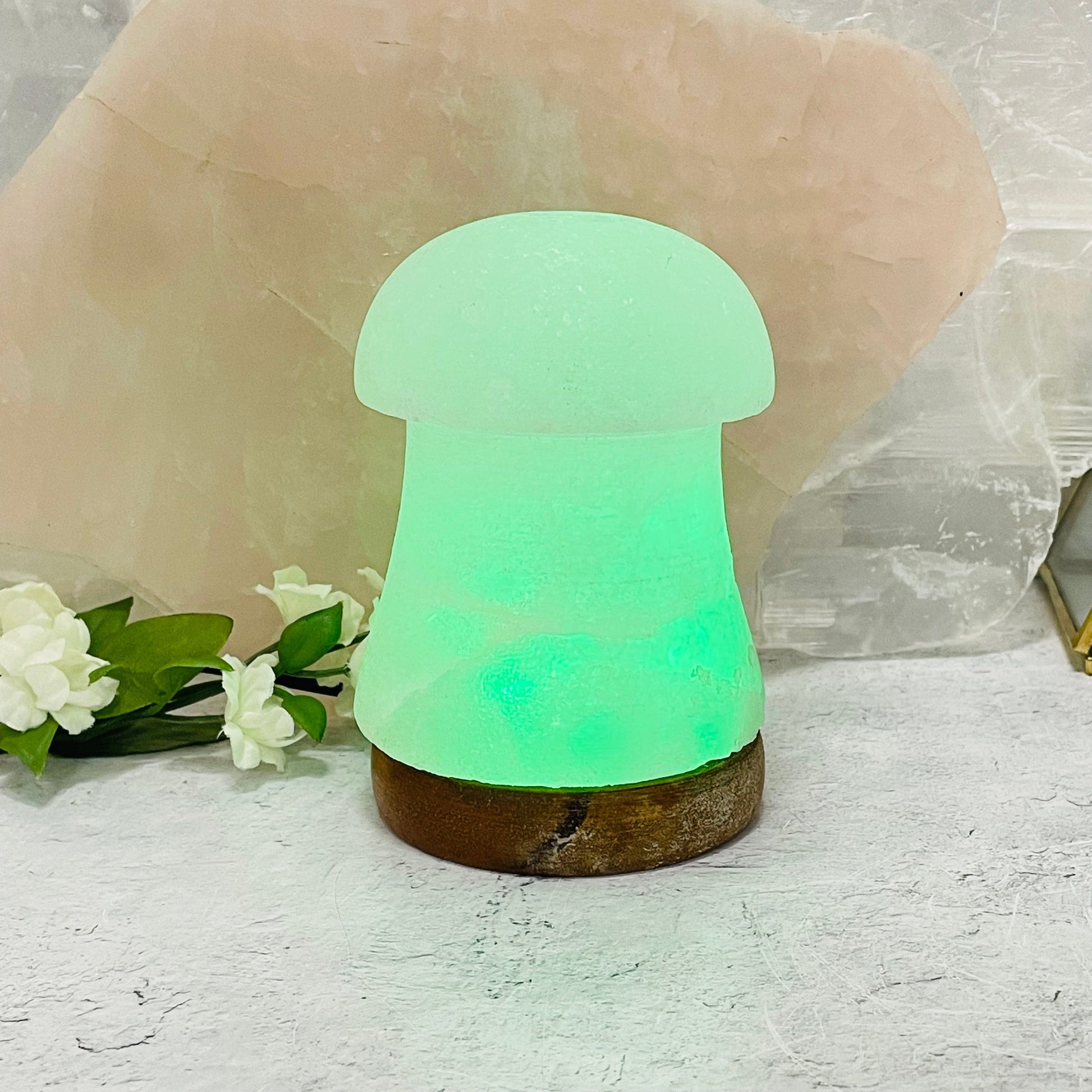 salt lamp displayed as home decor 