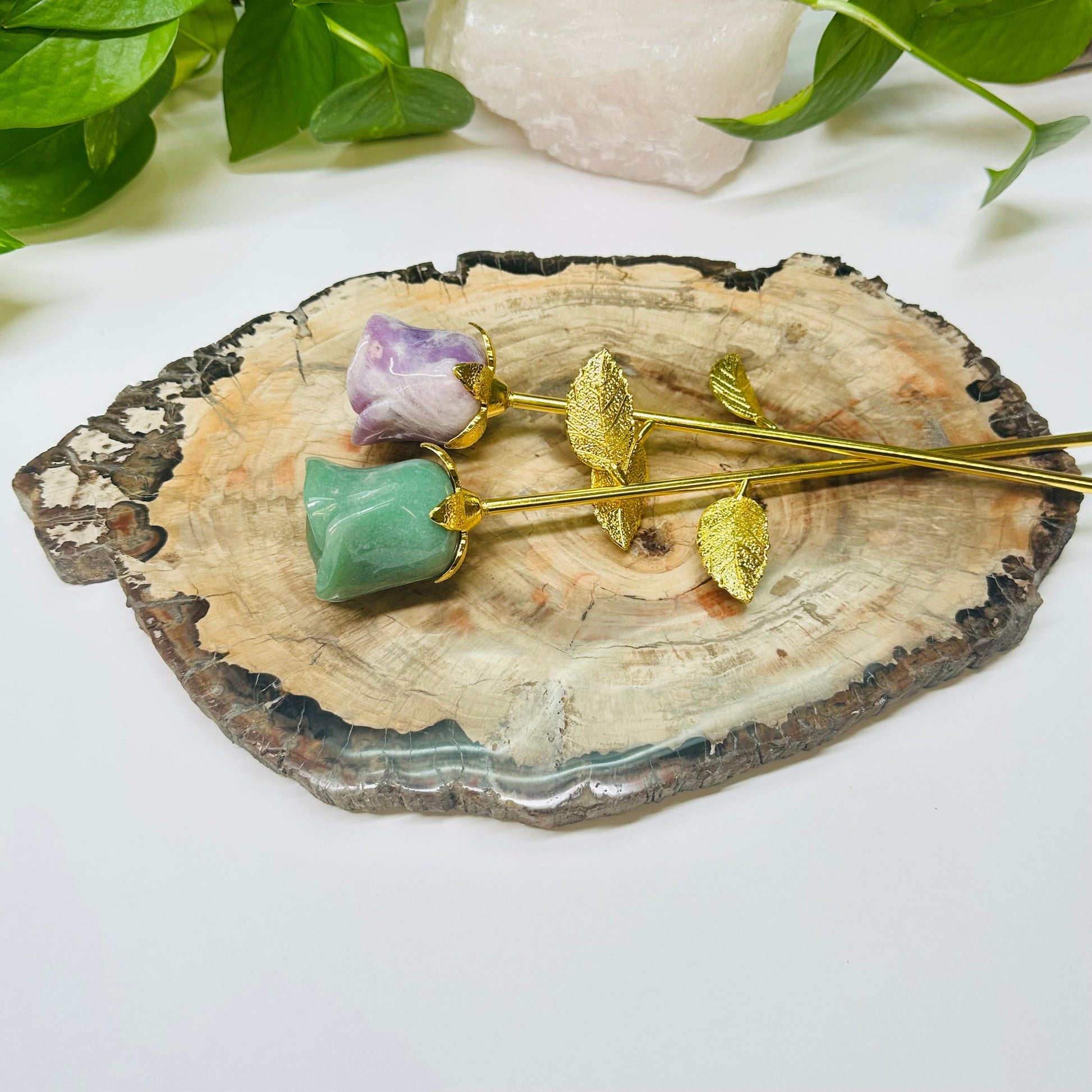 petrified wooden slab displayed as home decor 
