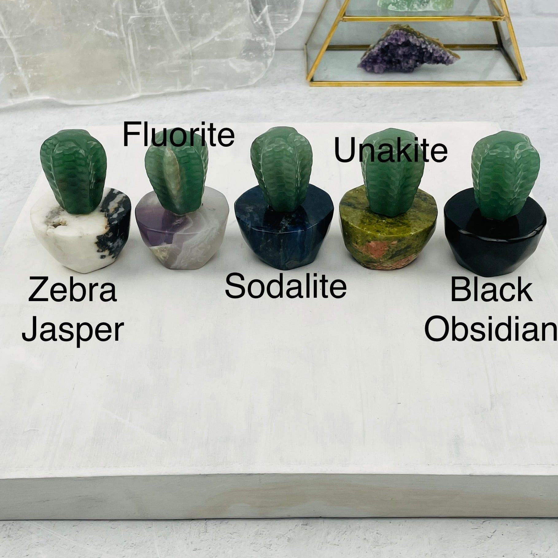 Cactus Crystals - You Choose Stone -