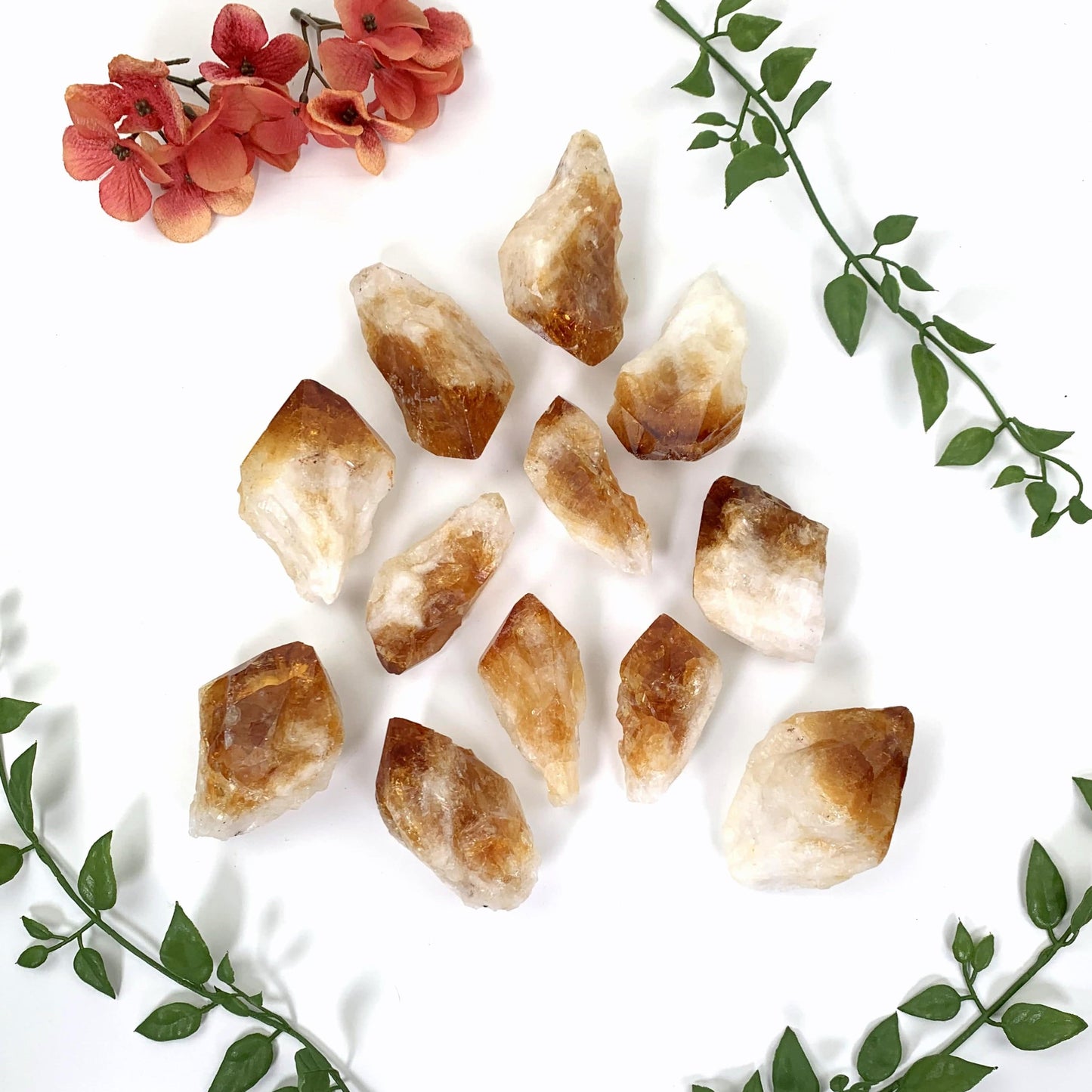 High Grade Citrine Points - 12 scattered  on a table