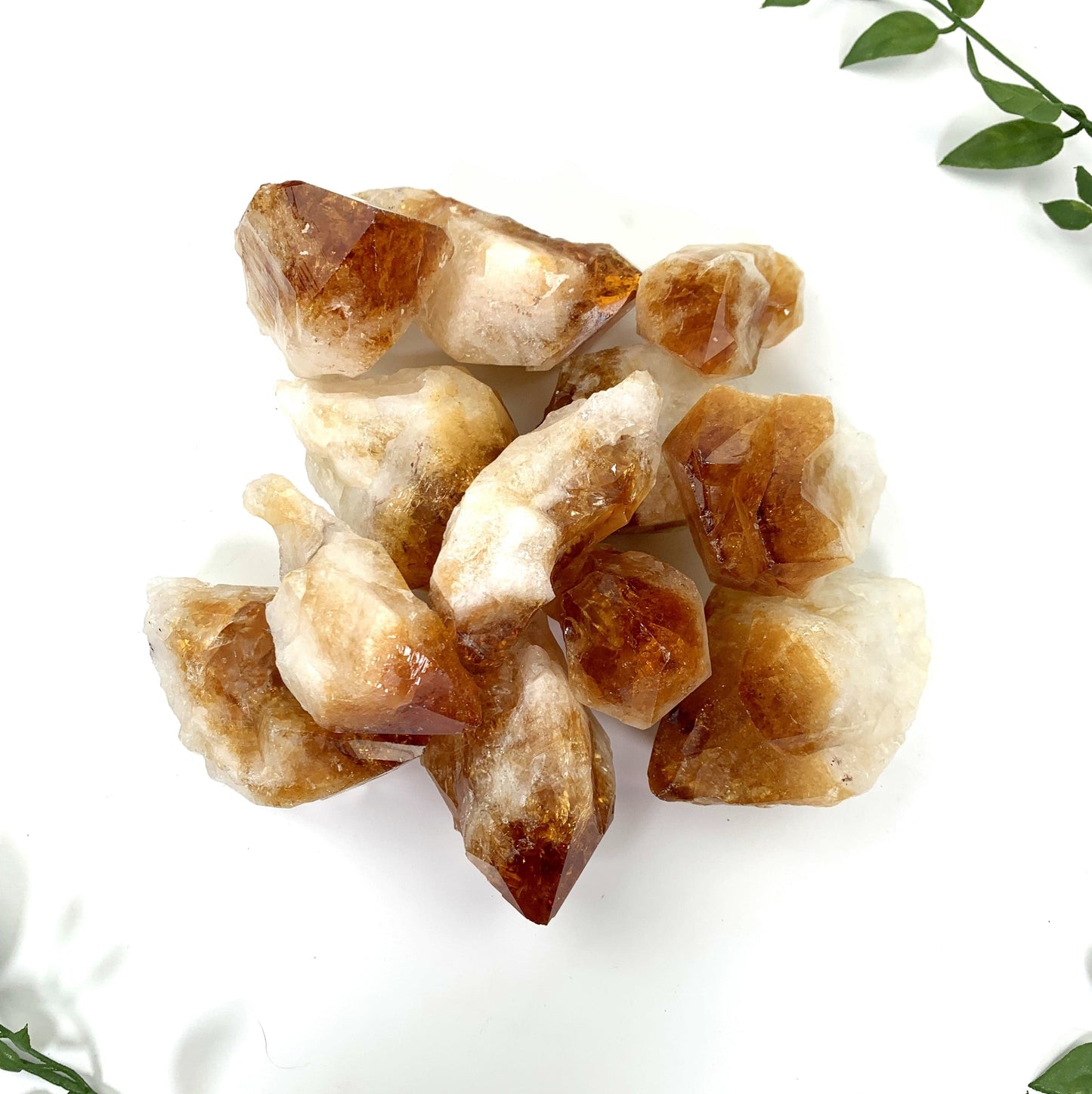 High Grade Citrine Points - a pile of them