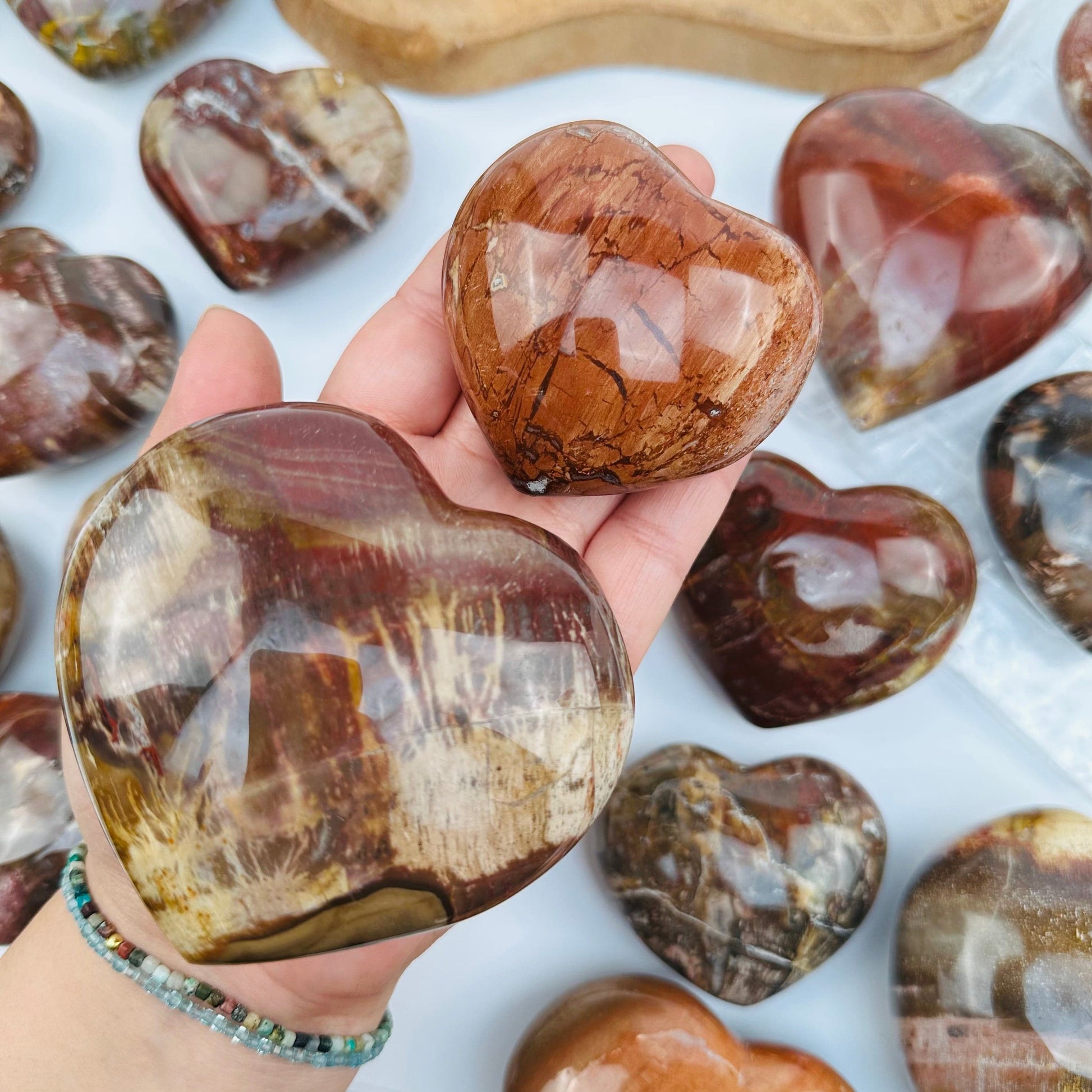 petrified wooden hearts in hand for size reference 