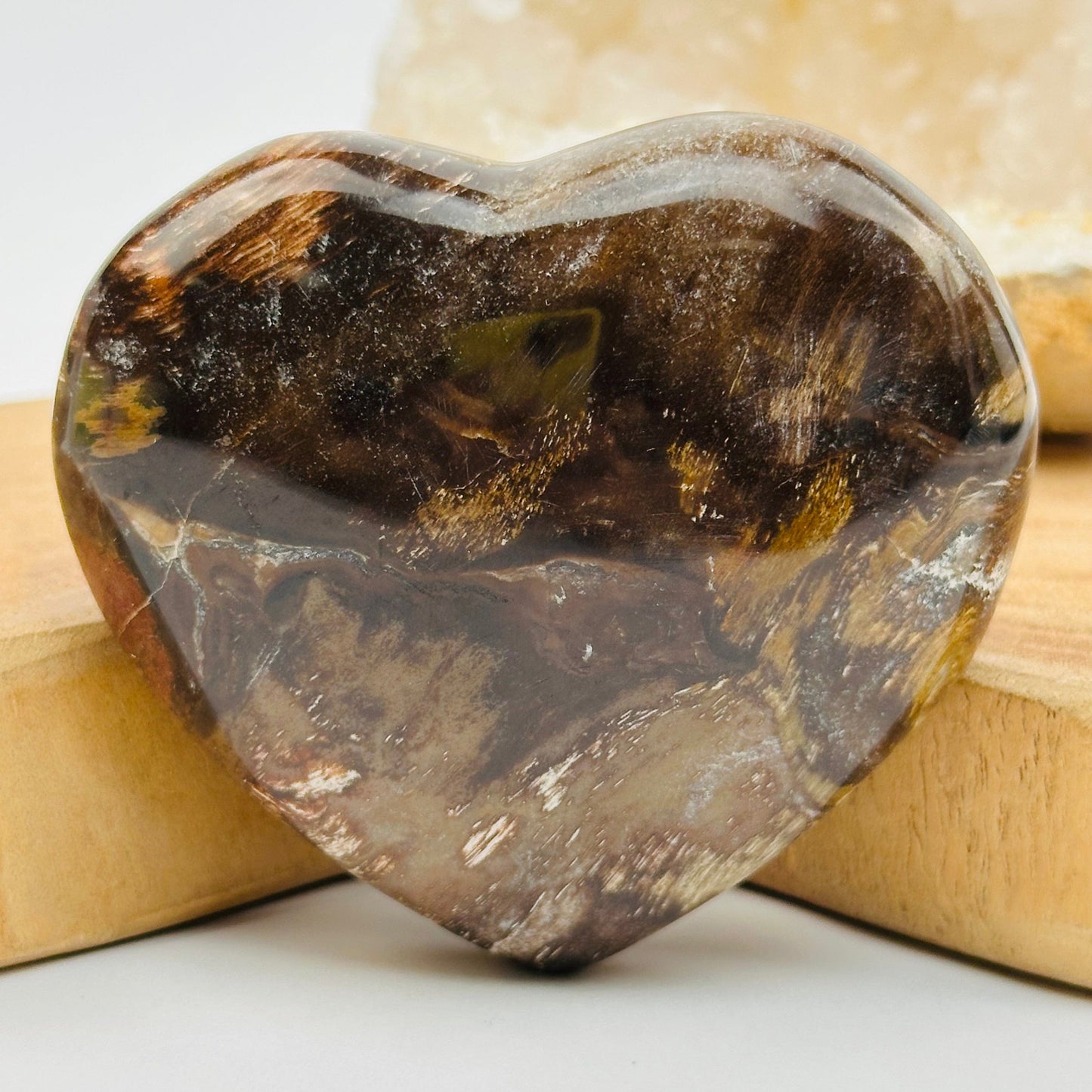 close up of the details on this petrified wood heart