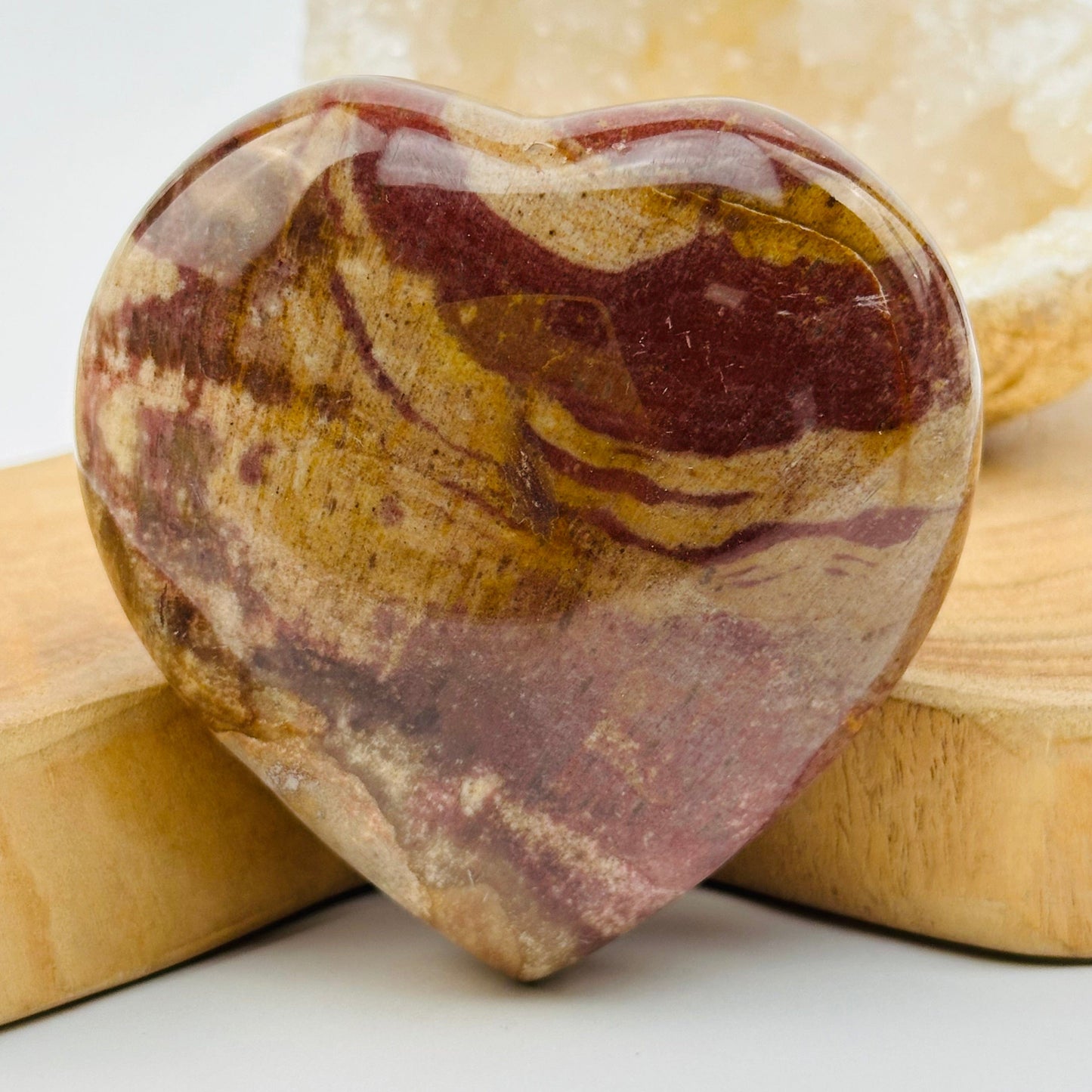close up of the details on this petrified wood heart
