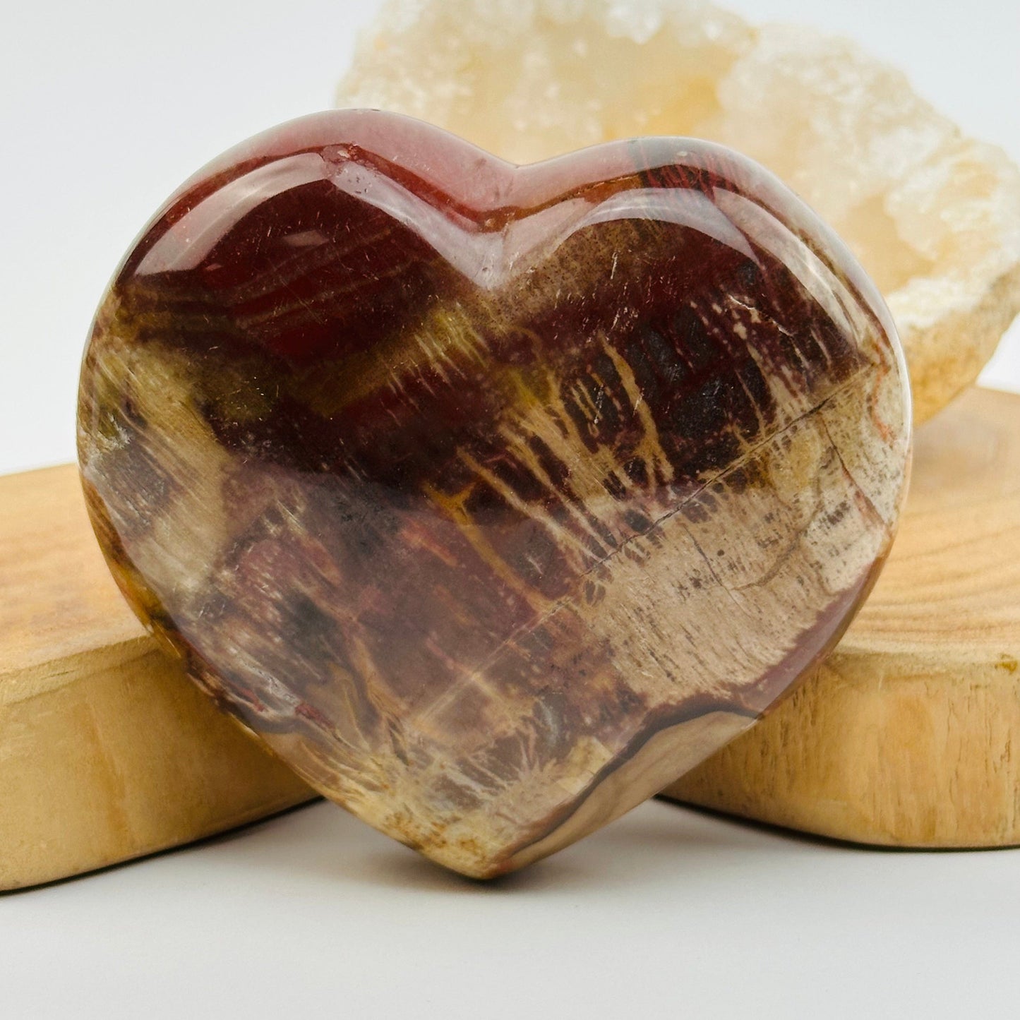 close up of the details on this petrified wood heart