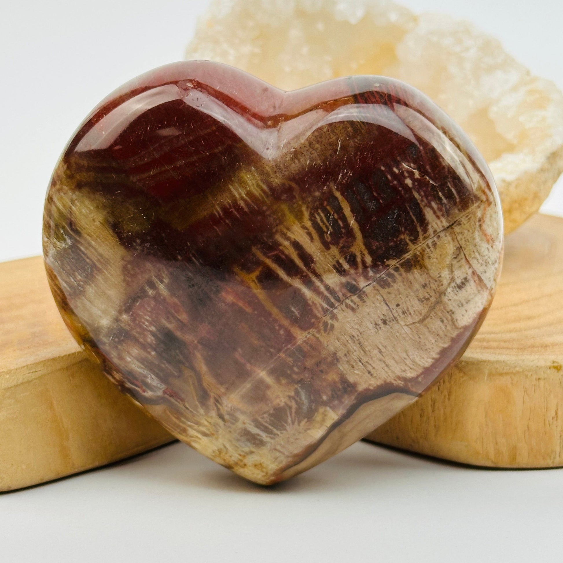 close up of the details on this petrified wood heart