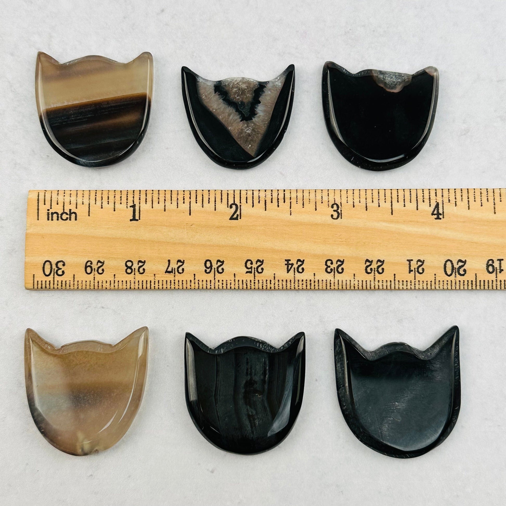 cat head cabochons next to a ruler for size reference