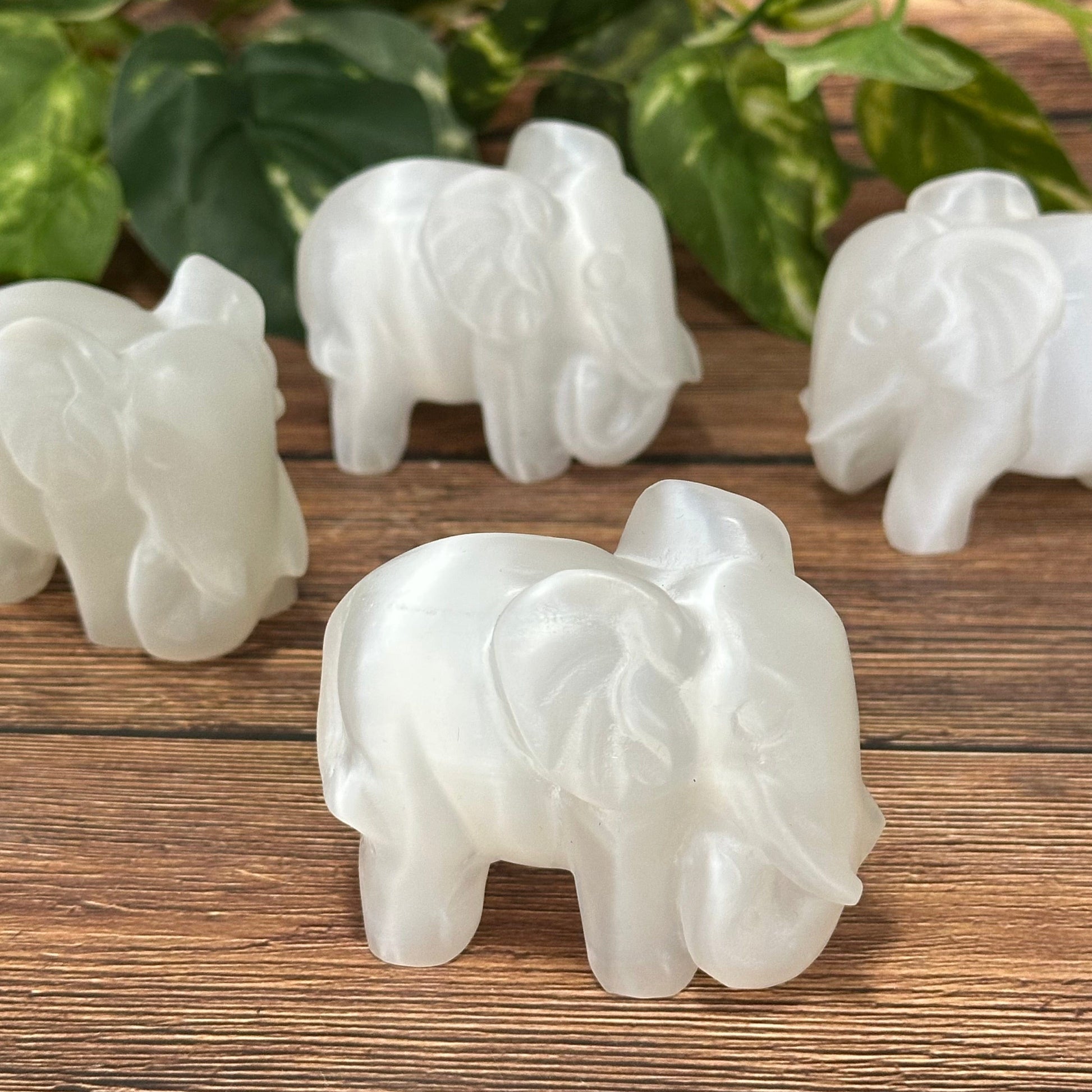 multiple selenite elephants displayed to show the slight differences in the sizes 