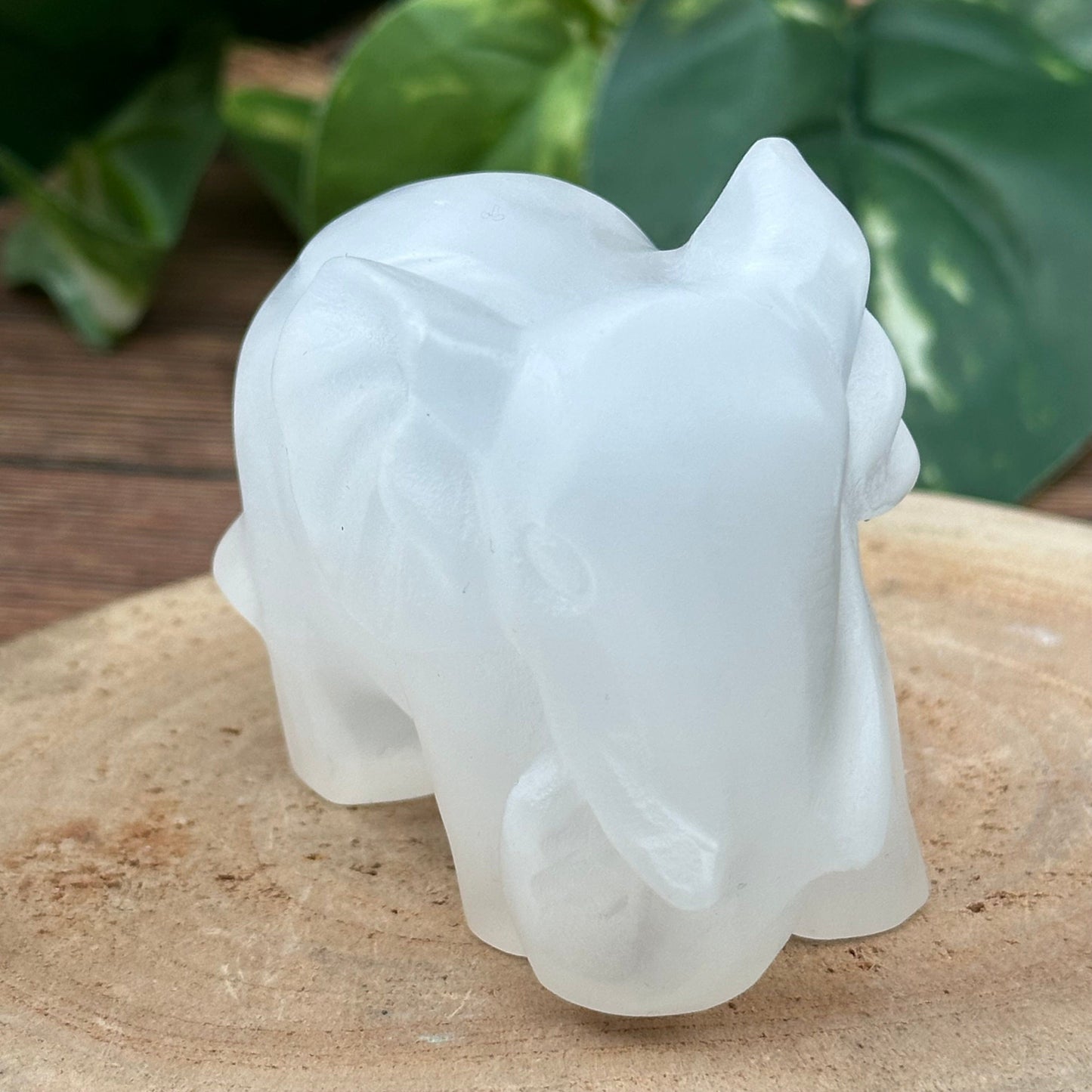 close up of the engraved details on this selenite elephant  