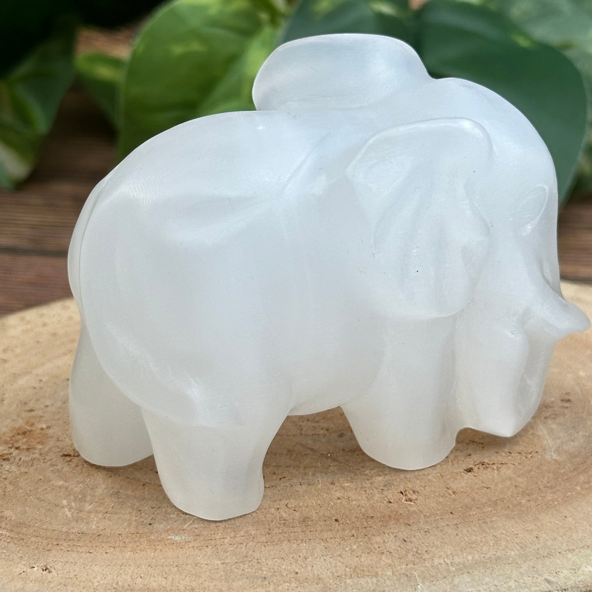 close up of the engraved details on this selenite elephant  