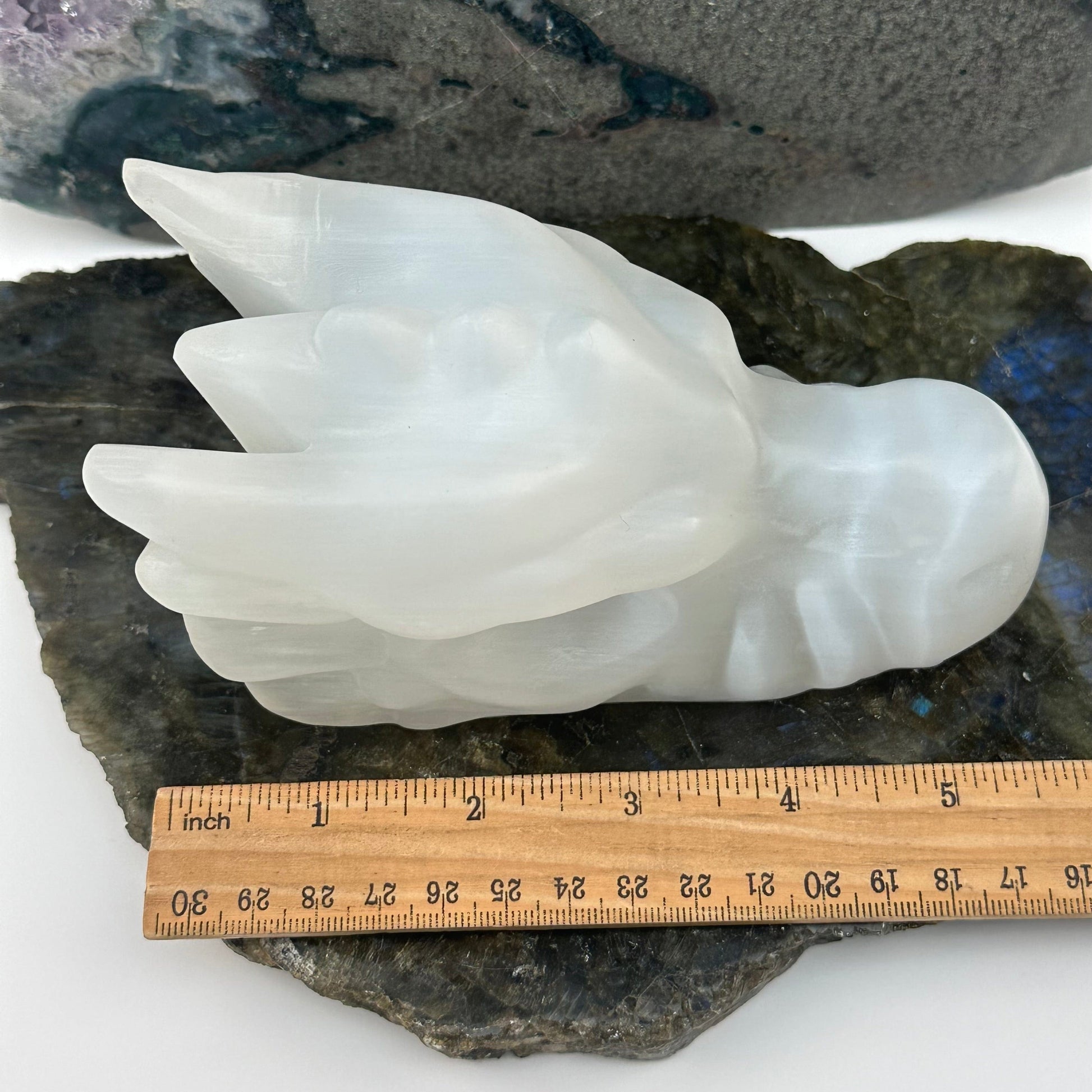 selenite crystal dragon head displayed next to a ruler for size reference 