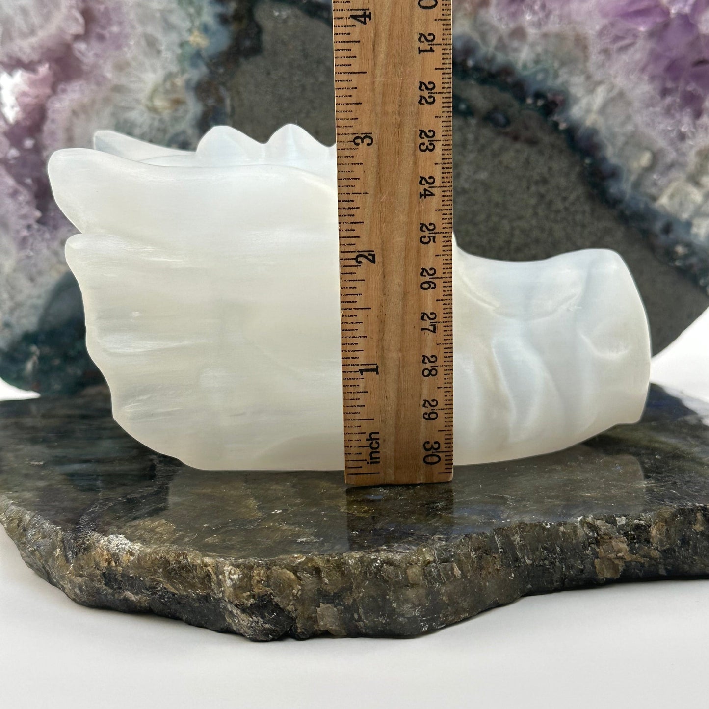 selenite crystal dragon head displayed next to a ruler for size reference 