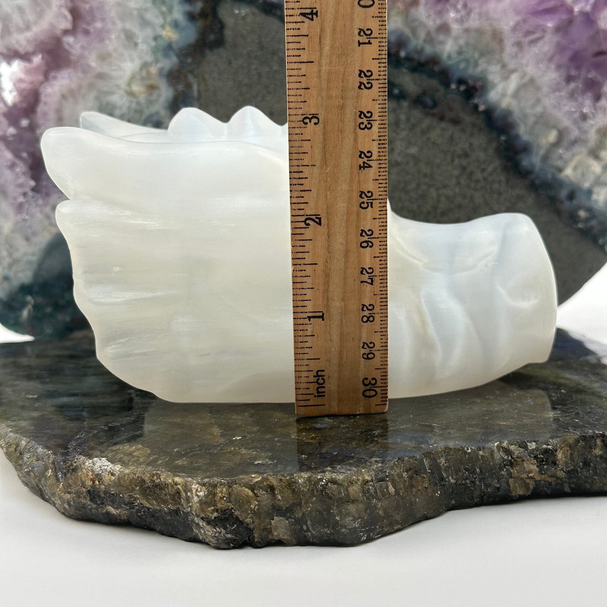 selenite crystal dragon head displayed next to a ruler for size reference 