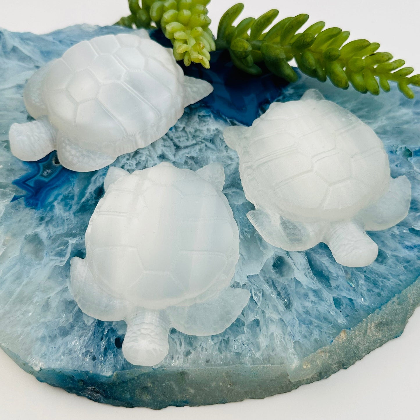 selenite crystal turtles displayed as home decor 