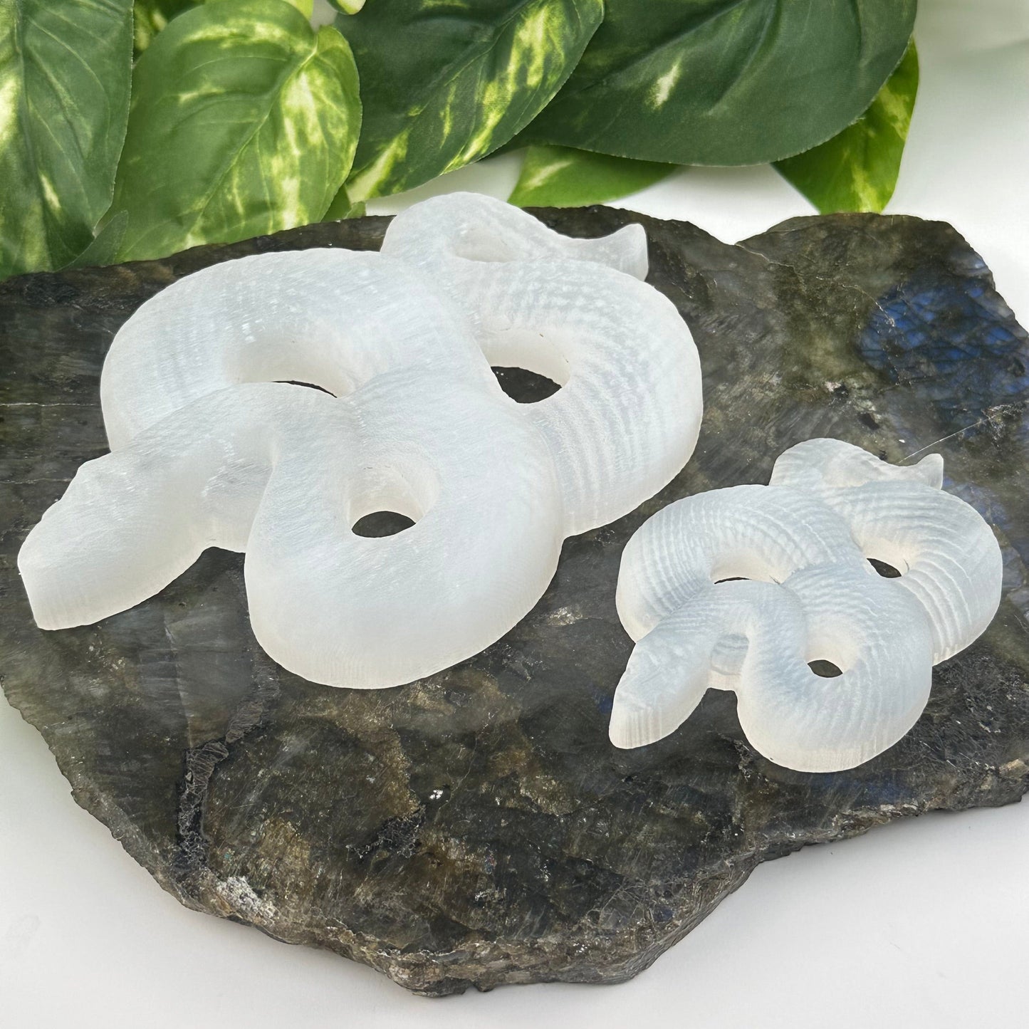 selenite crystal snakes displayed s home decor