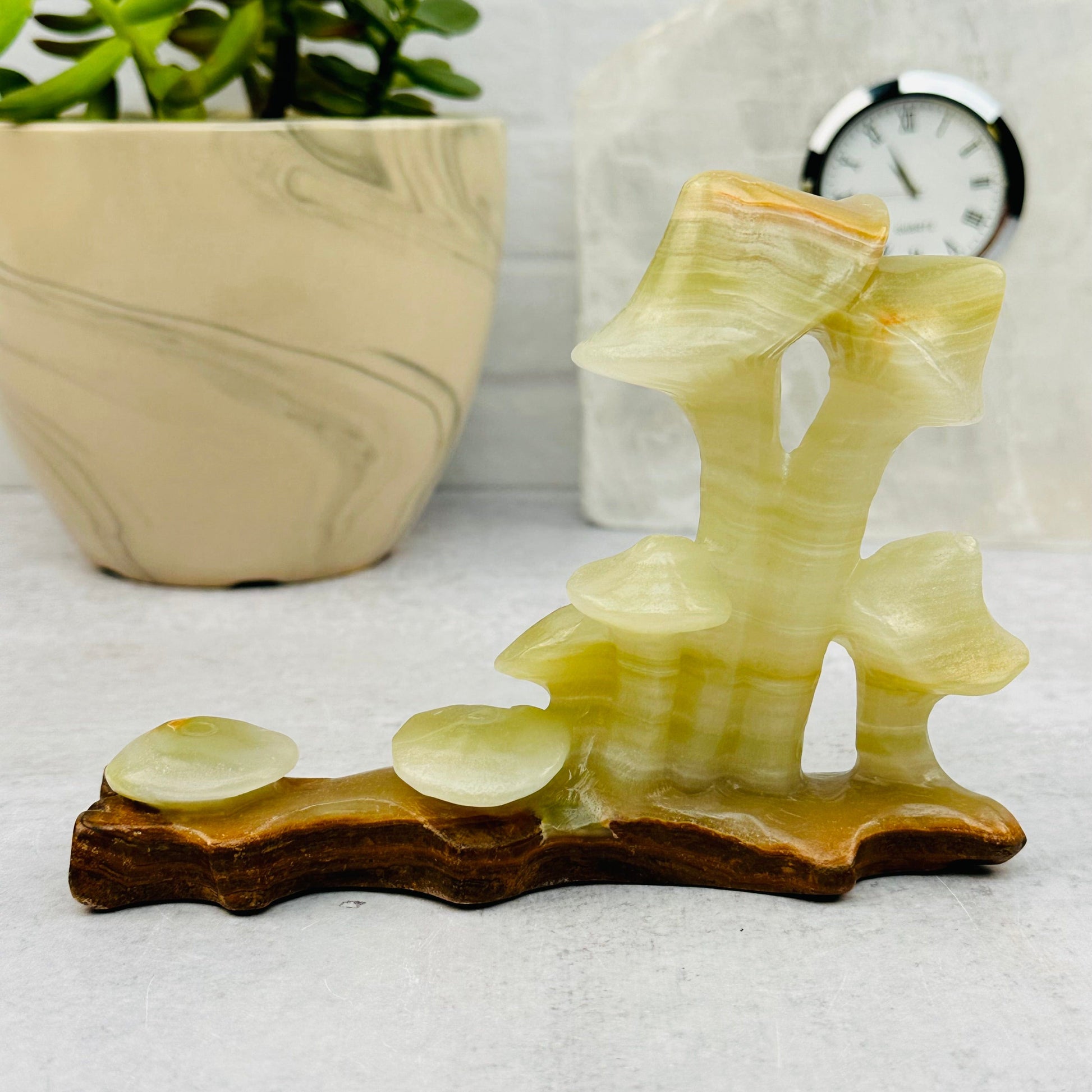 Calcite Crystal Mushroom Displayed as home decor 