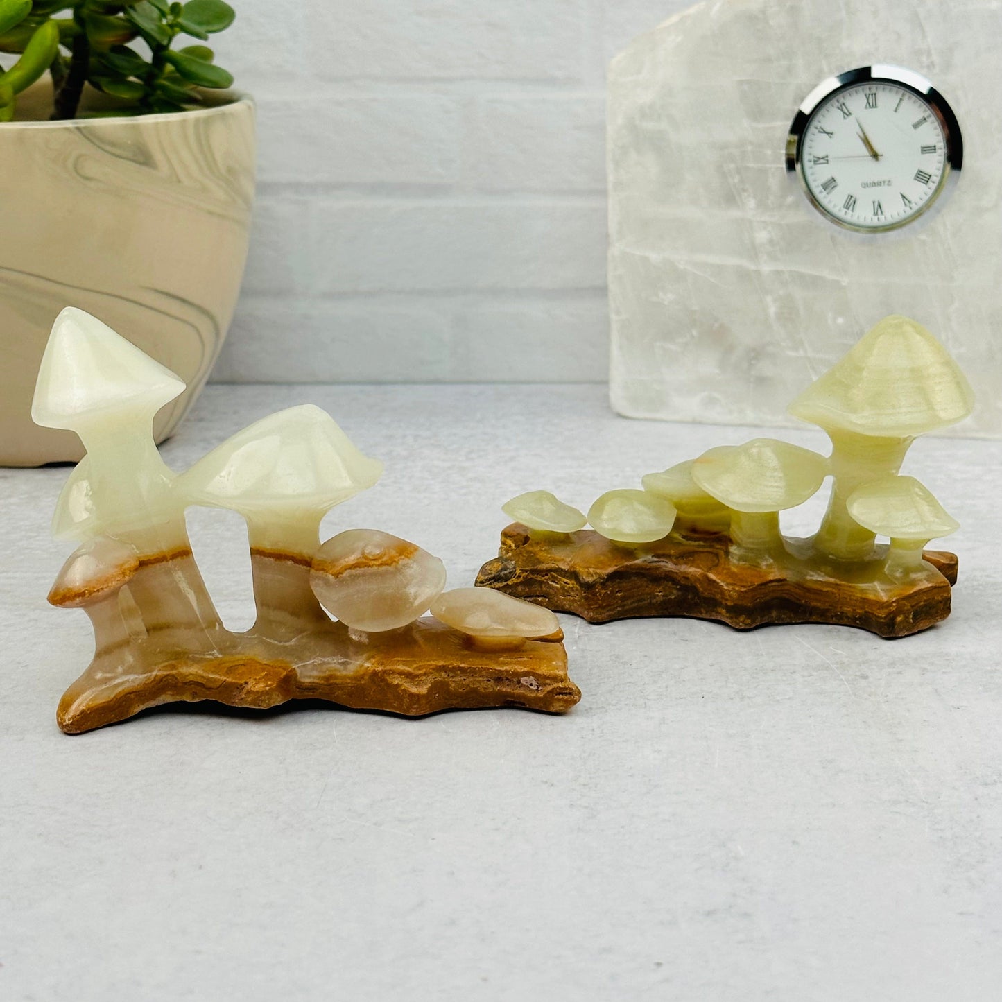 Calcite Crystal Mushroom Displayed as home decor