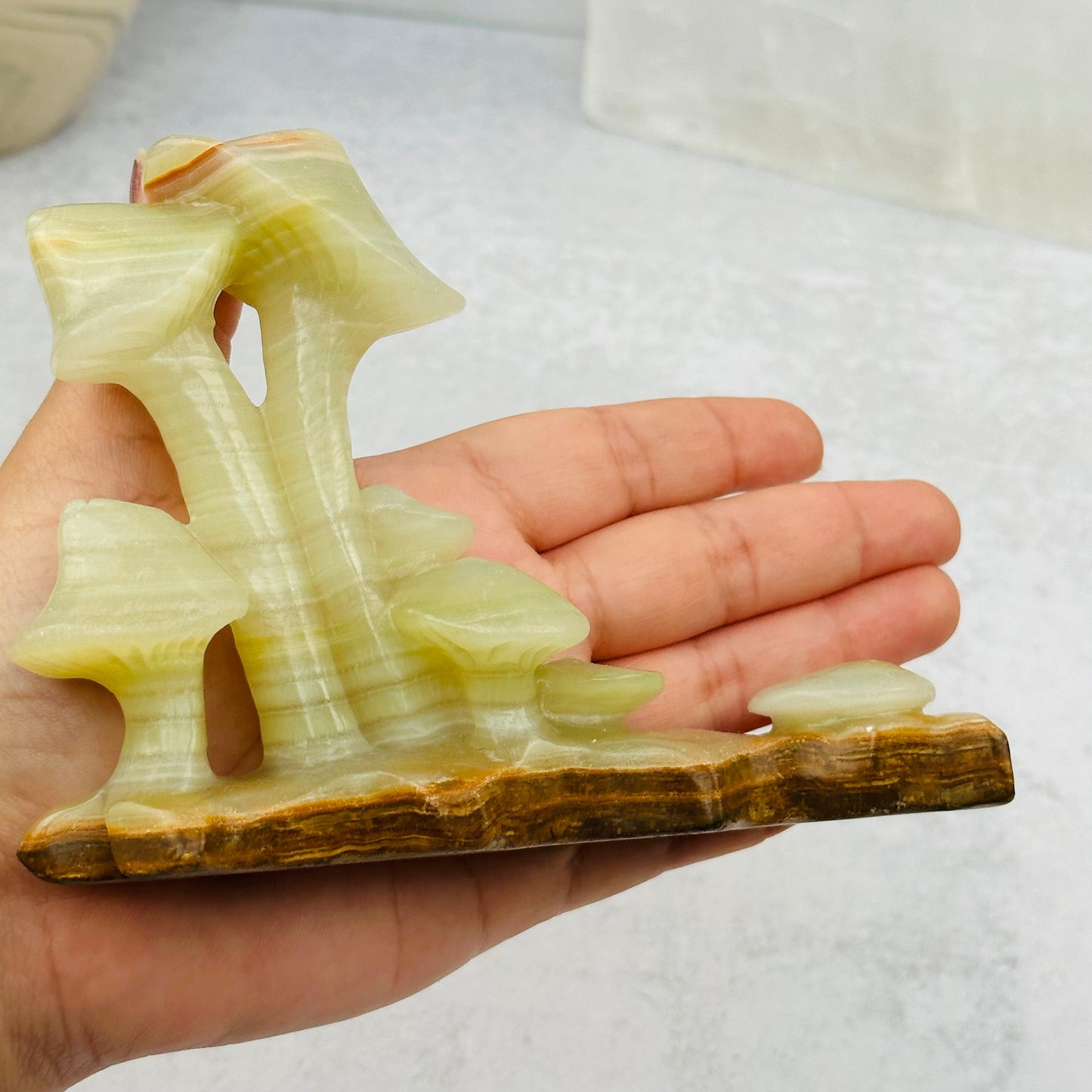 Calcite Crystal Mushroom in hand for size reference 