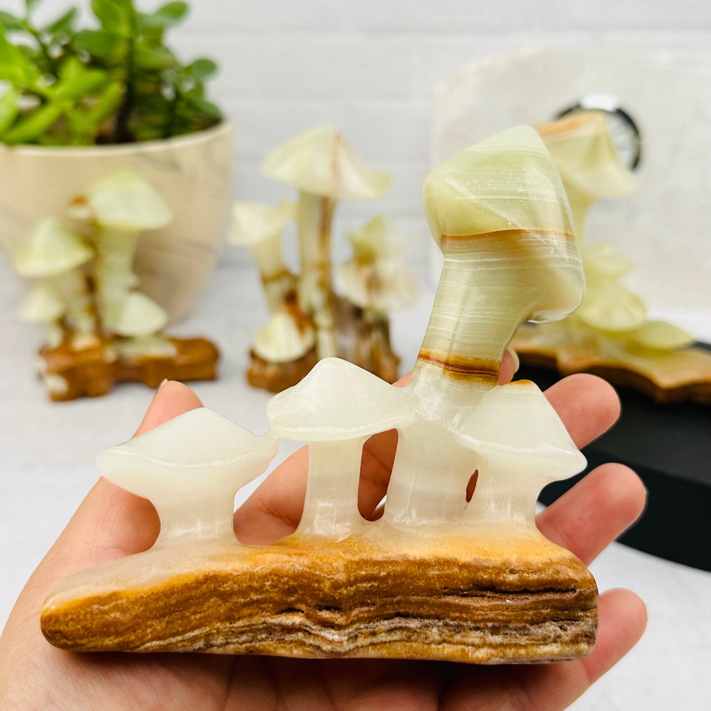 Calcite Crystal Mushroom Display in hand for size reference 