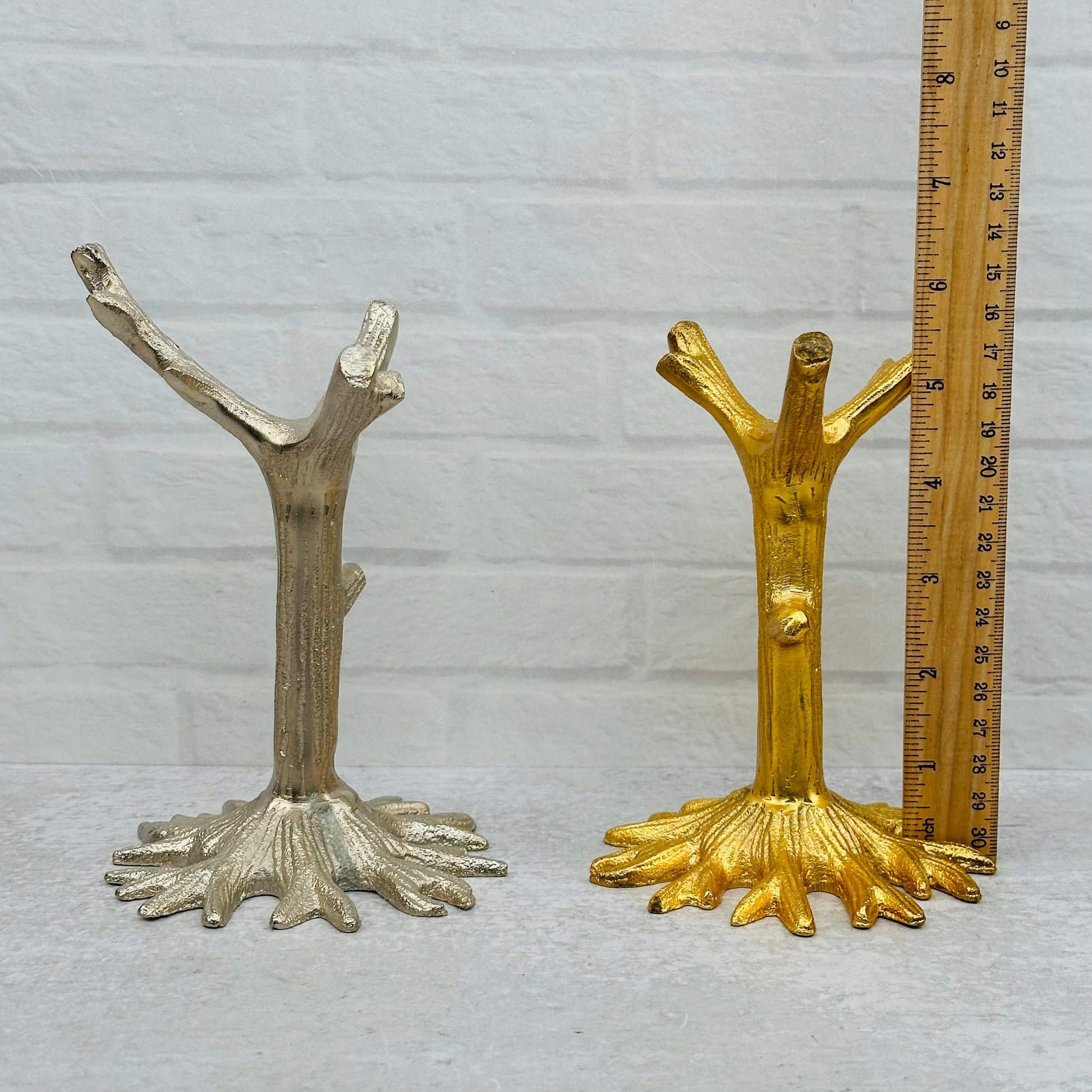 tree stands next to a ruler for size reference 