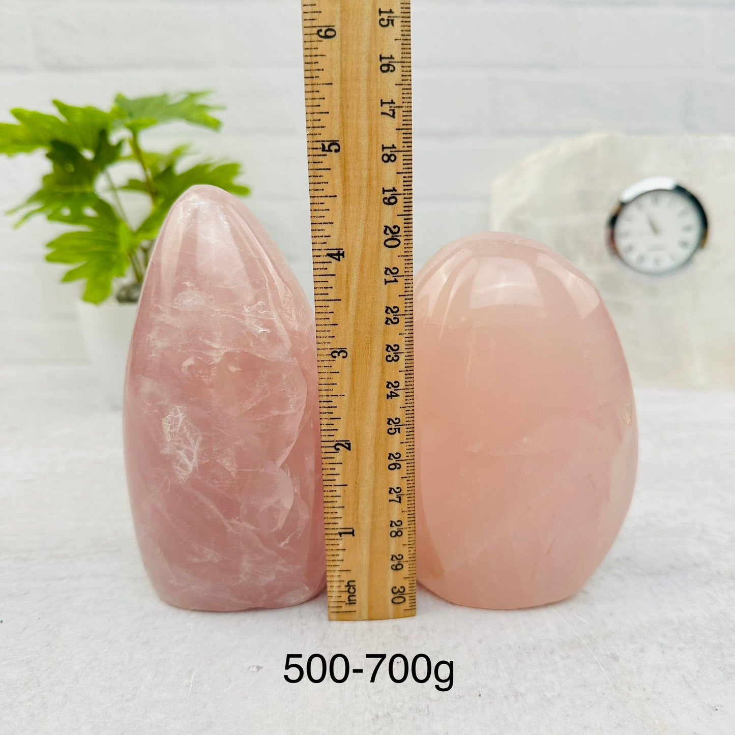 Rose Quartz Cut Base - By Weight - next to a ruler for size reference