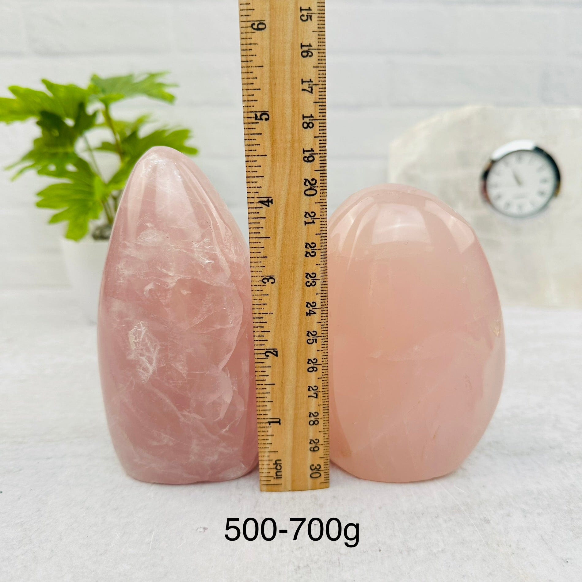 Rose Quartz Cut Base - By Weight - next to a ruler for size reference
