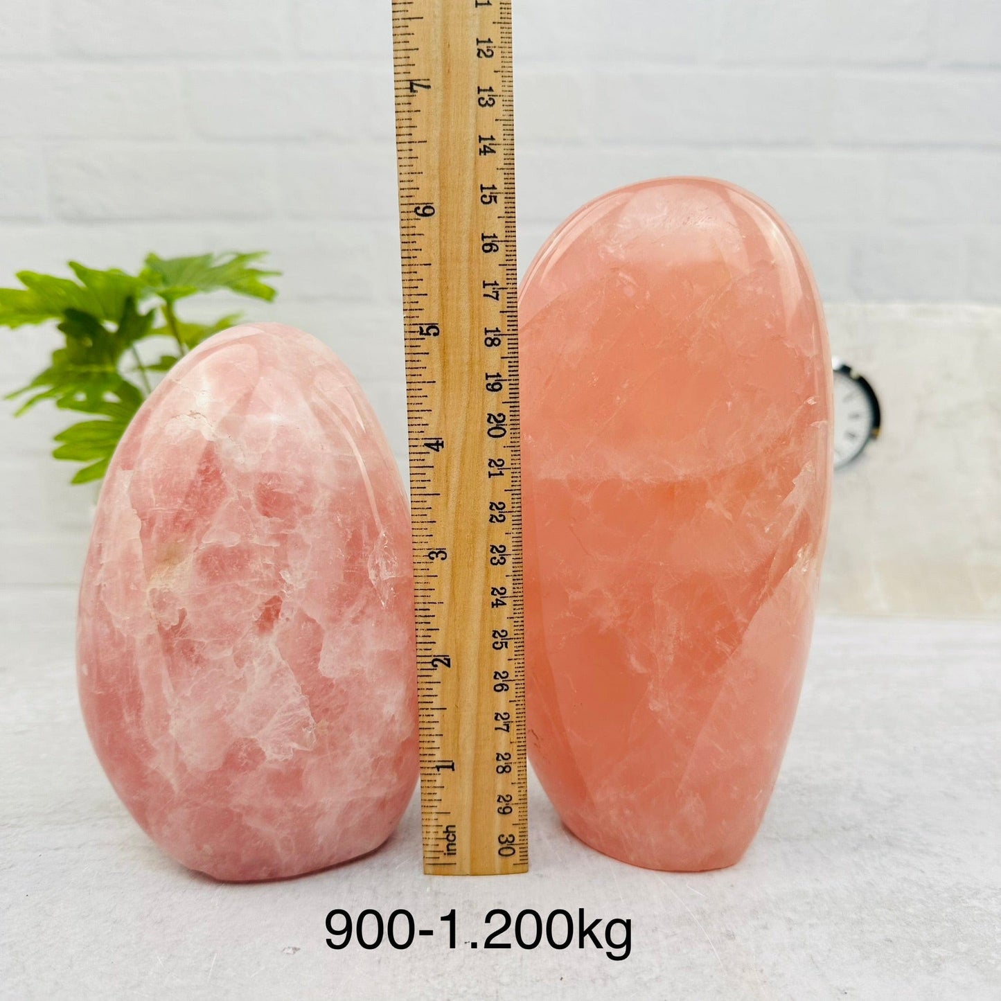 Rose Quartz Cut Base - By Weight - next to a ruler for size reference