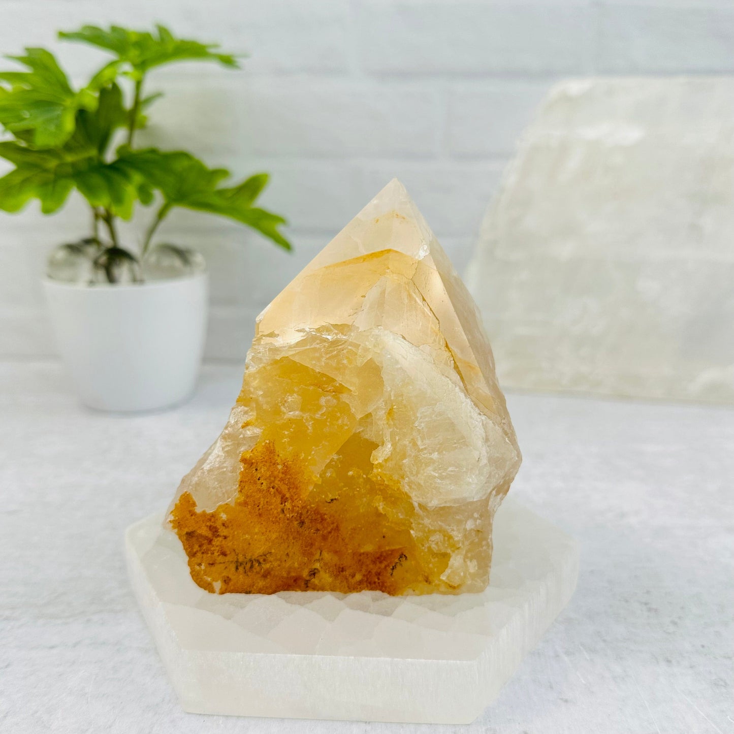 golden healer point displayed as home decor