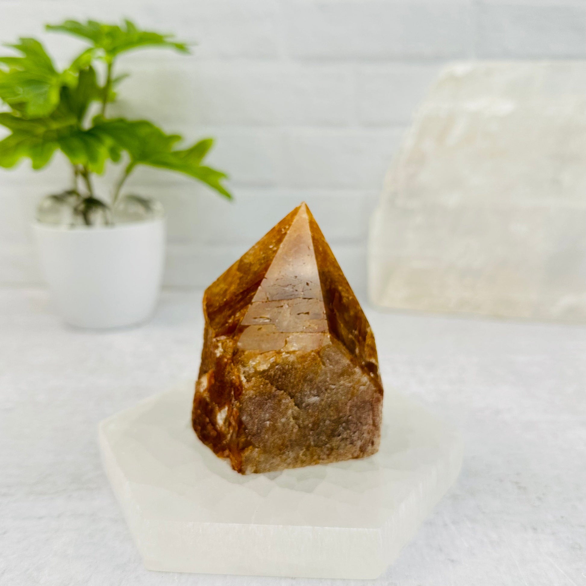 golden healer point displayed as home decor 