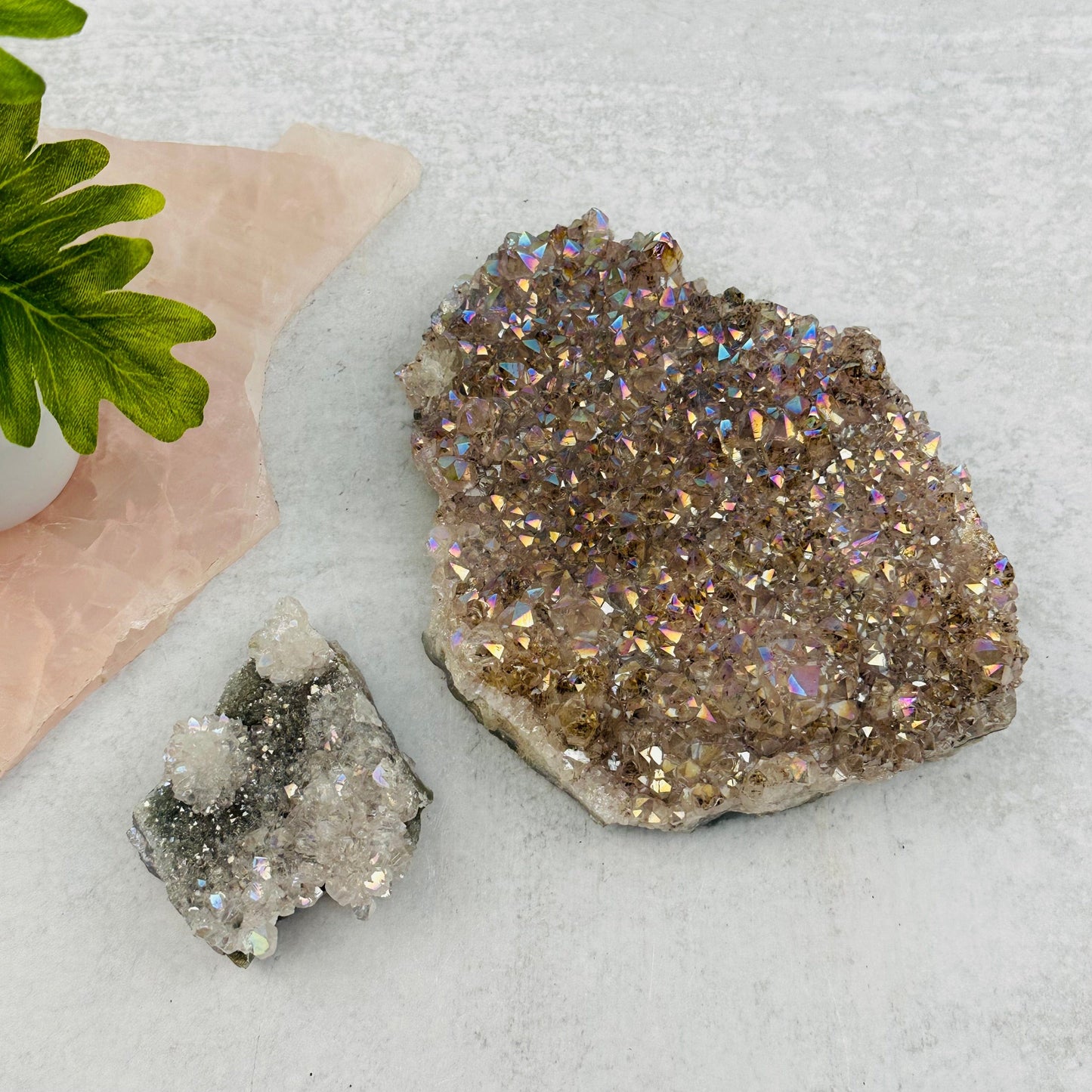 clusters displayed as home decor 