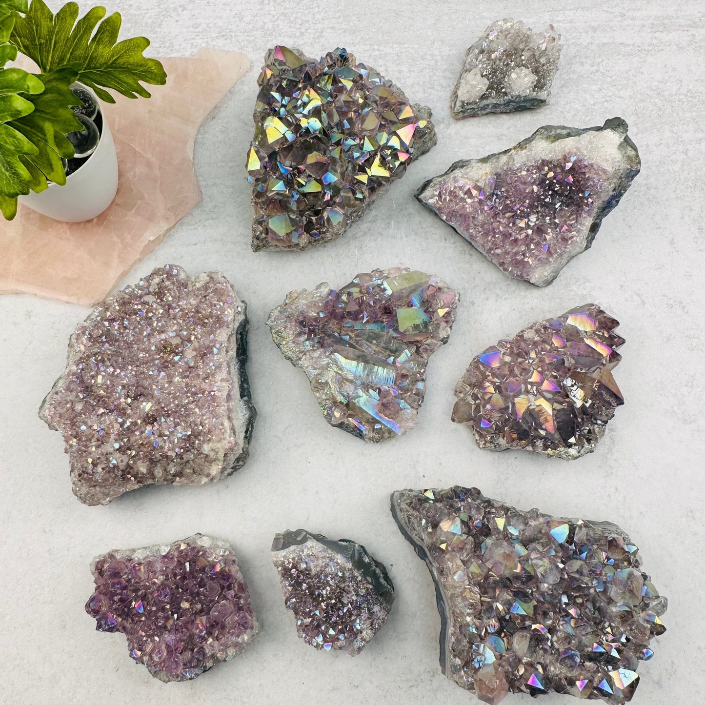multiple clusters displayed to show the differences in the color shades and sizes 