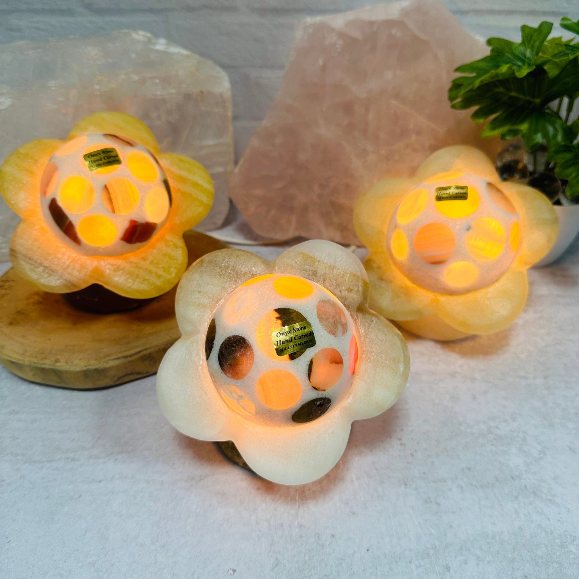 multiple lamps displayed displayed to show the differences in the color shades 