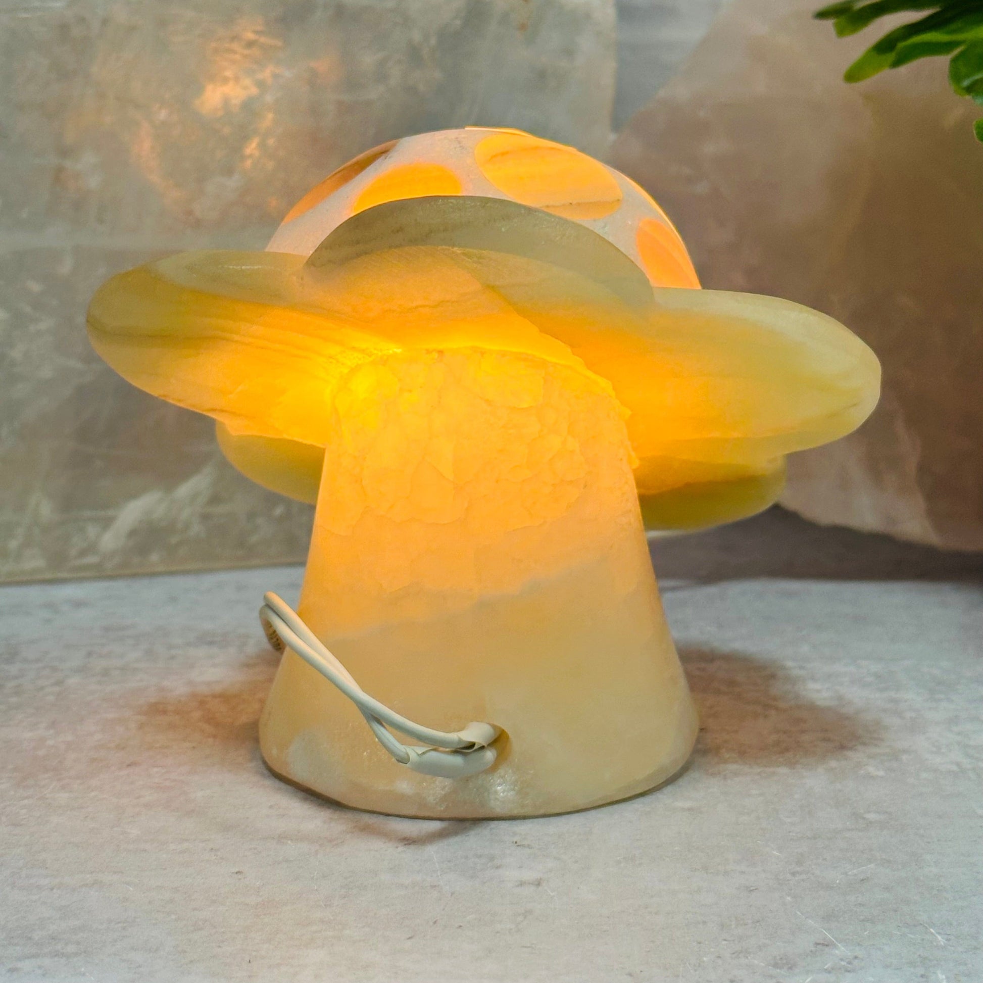 back side of the lamp 