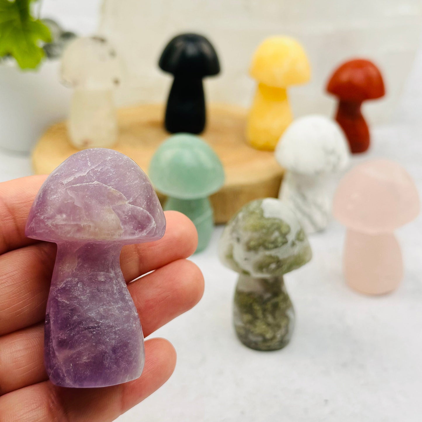 Gemstone Mushroom in hand for size reference 