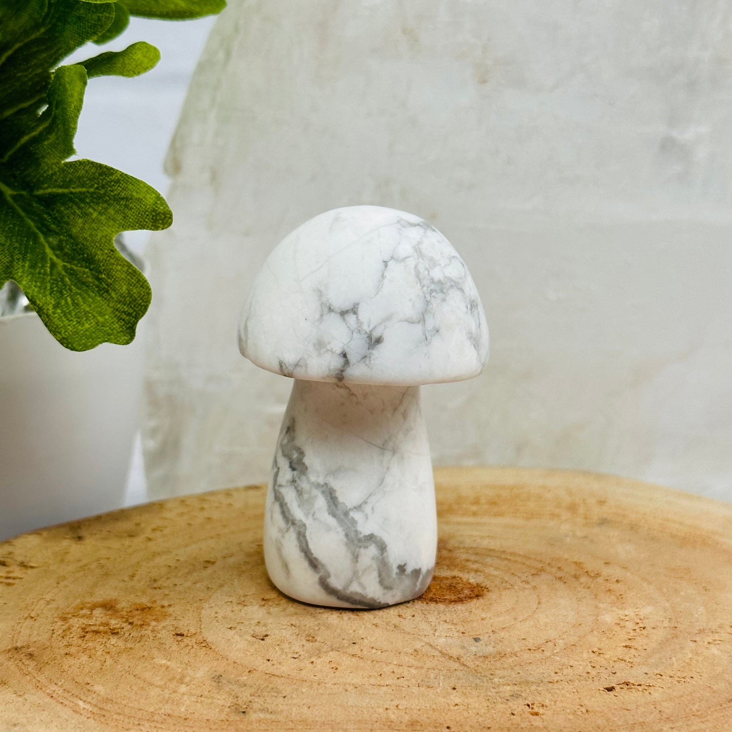 Gemstone Mushroom displayed as home decor 