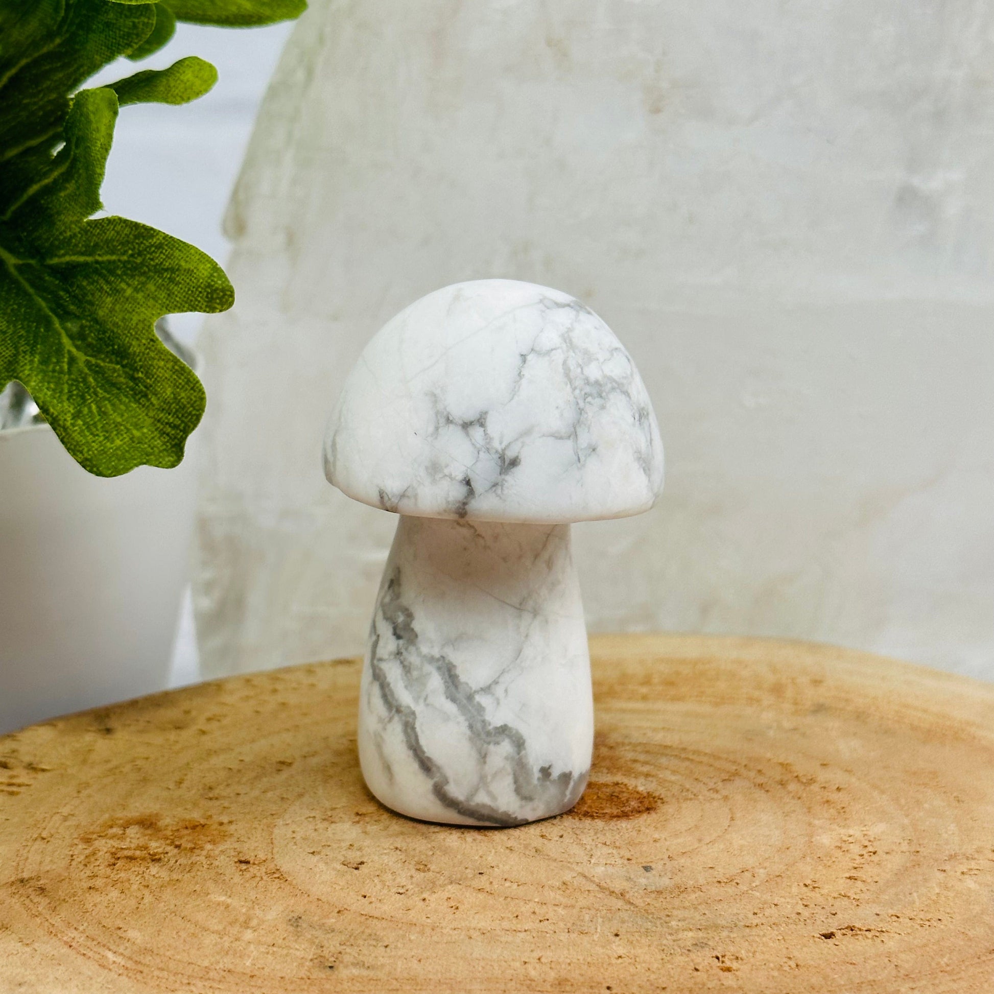 Gemstone Mushroom displayed as home decor 