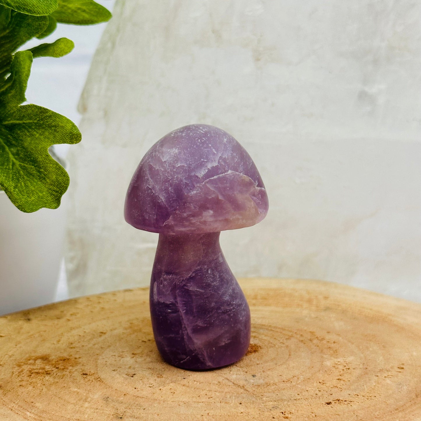 Gemstone Mushroom displayed as home decor 