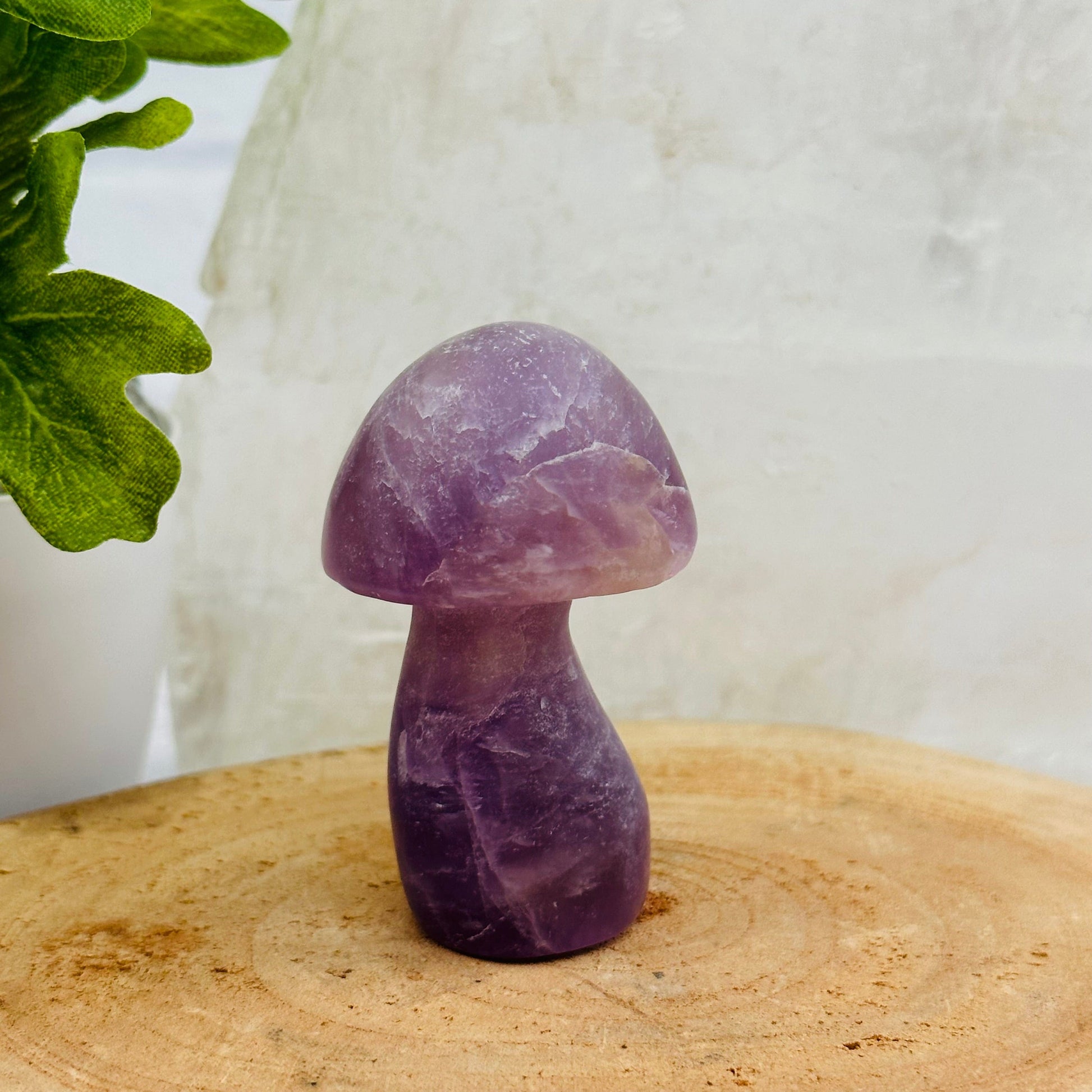 Gemstone Mushroom displayed as home decor 