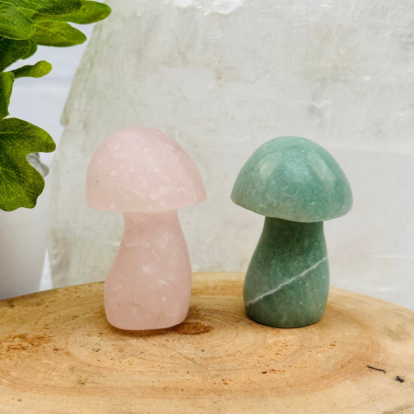 Gemstone Mushrooms displayed as home decor 