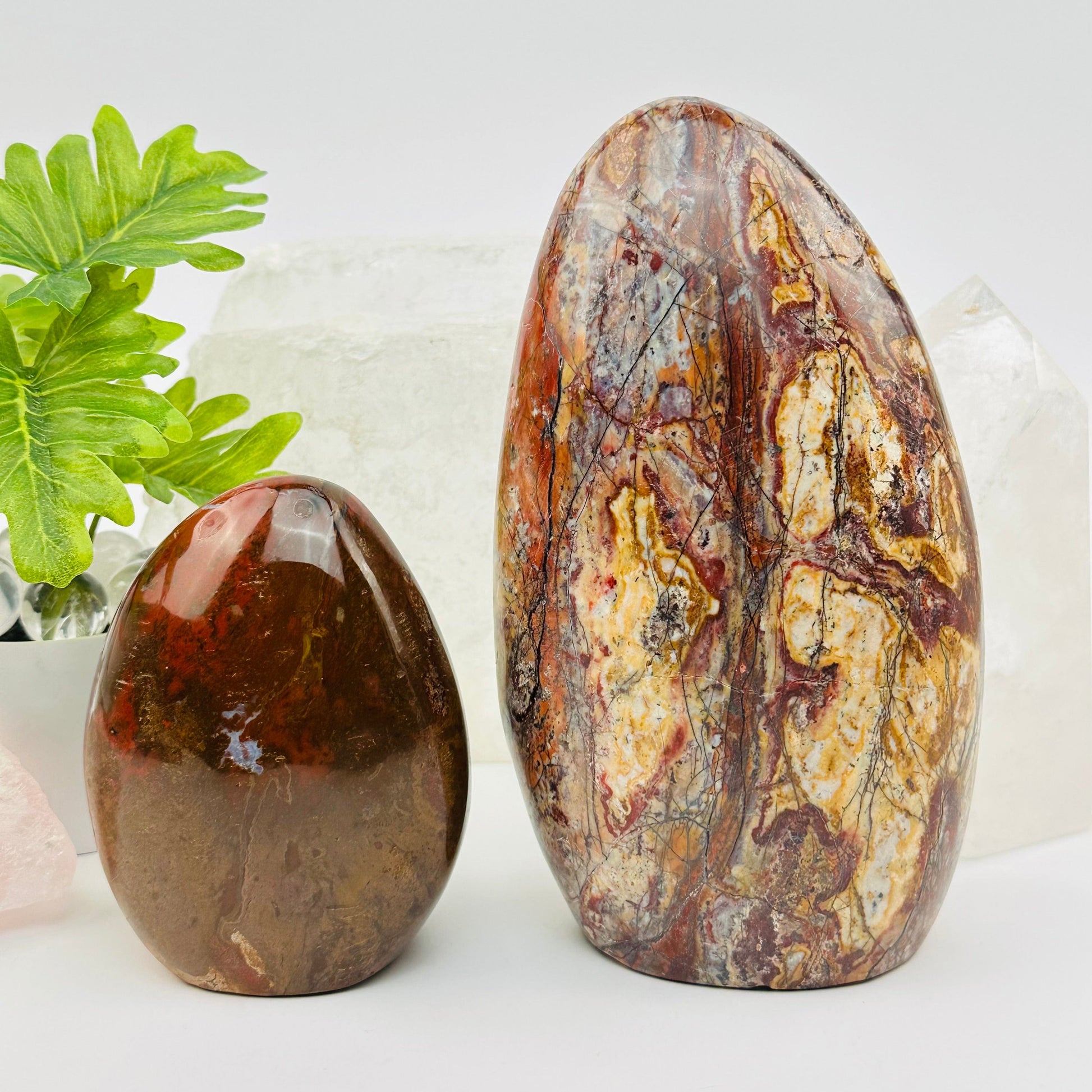 ocean jasper polished crystal cut bases displayed as home decor 