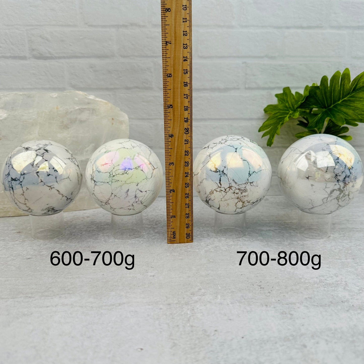 White Howlite Angel Aura Polished Spheres - By Weight - next to a ruler for size reference