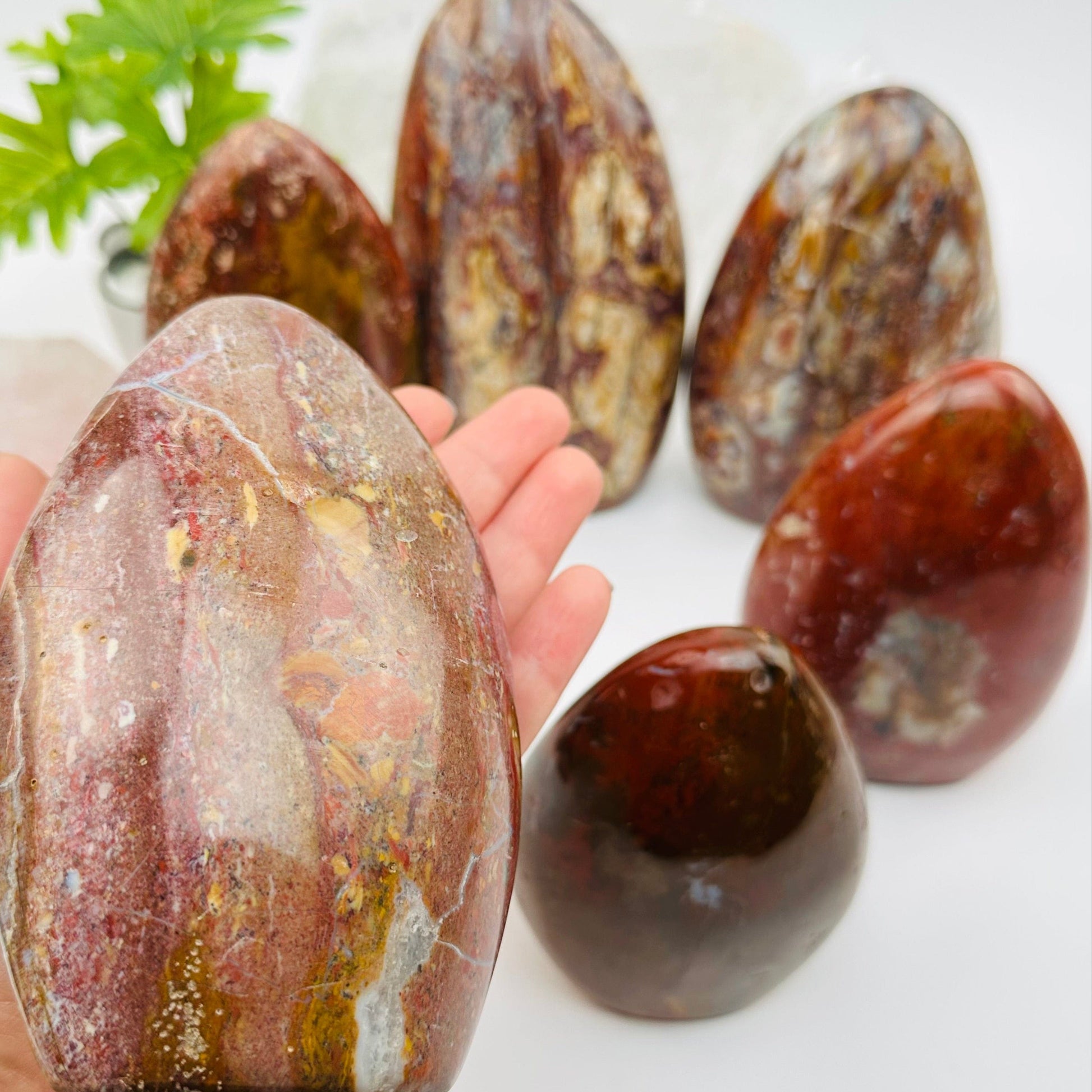ocean jasper cut base in hand for size reference 