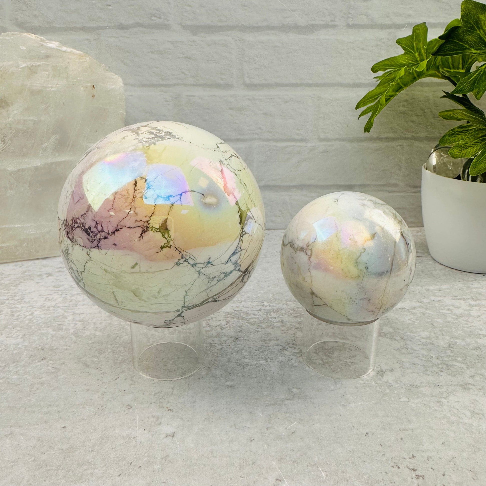 White Howlite Angel Aura Polished Spheres displayed as home decor 