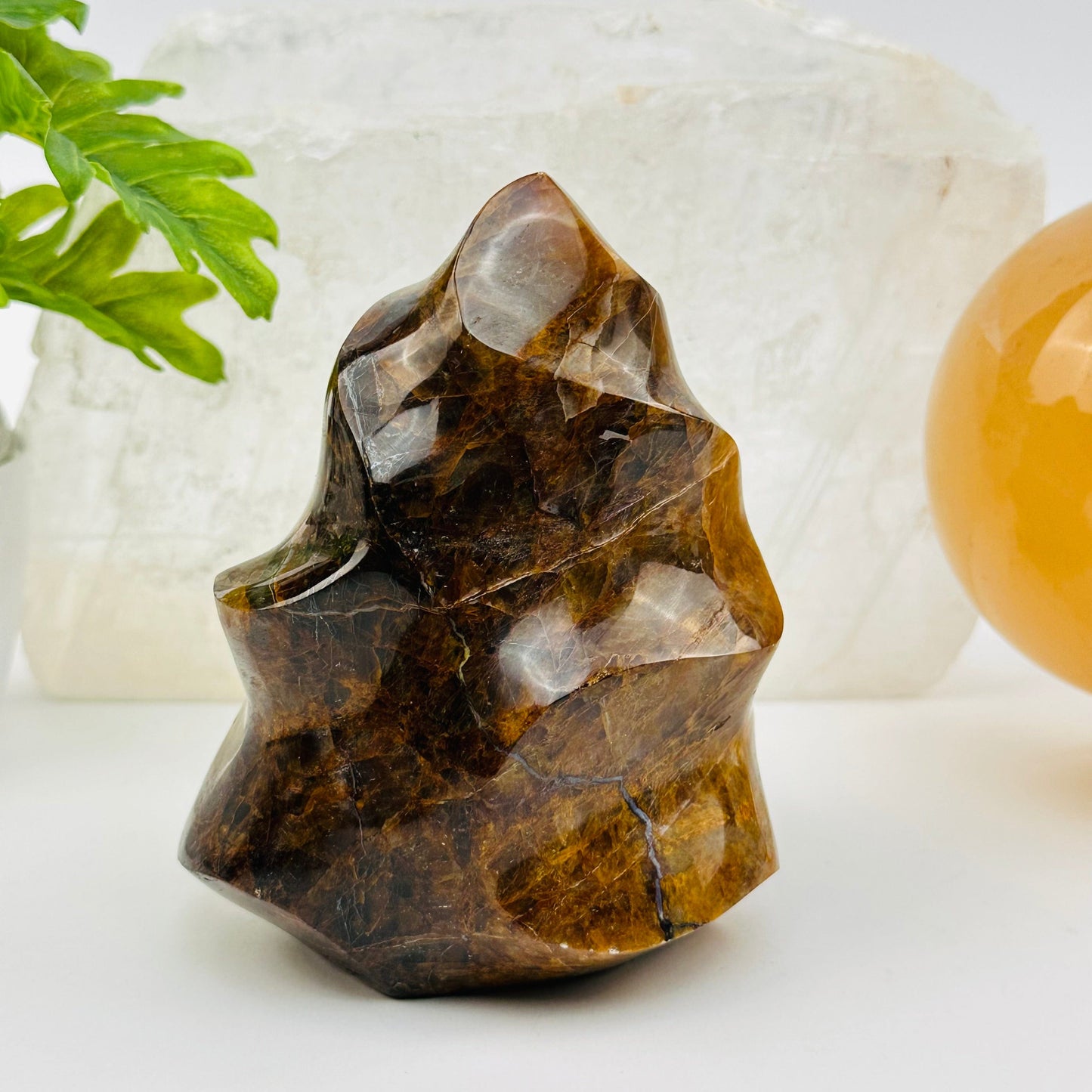 golden healer flame point displayed as home decor